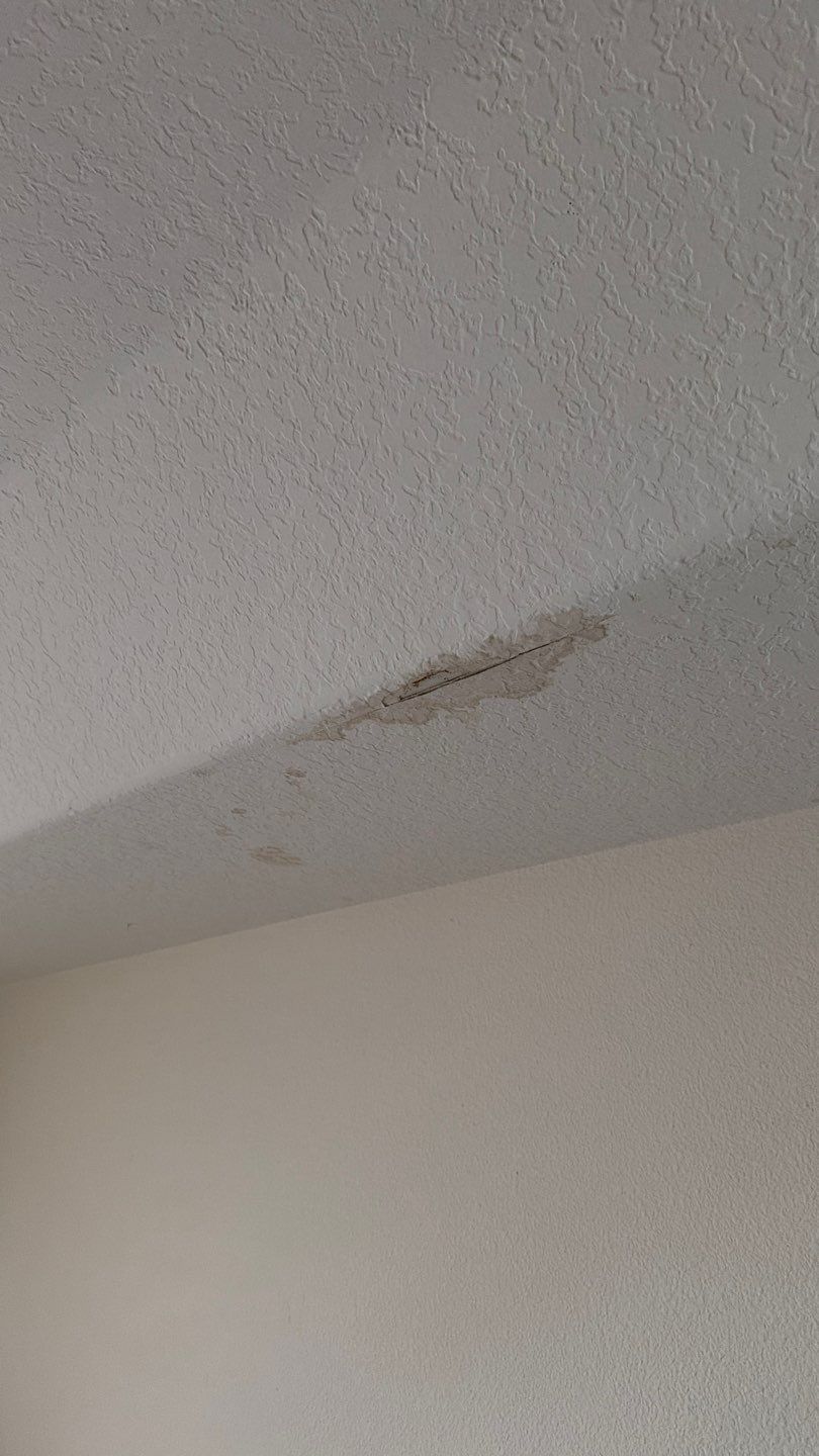 Mold Damage Inspection And Removal In North Port, FL by Ampm Restoration Services