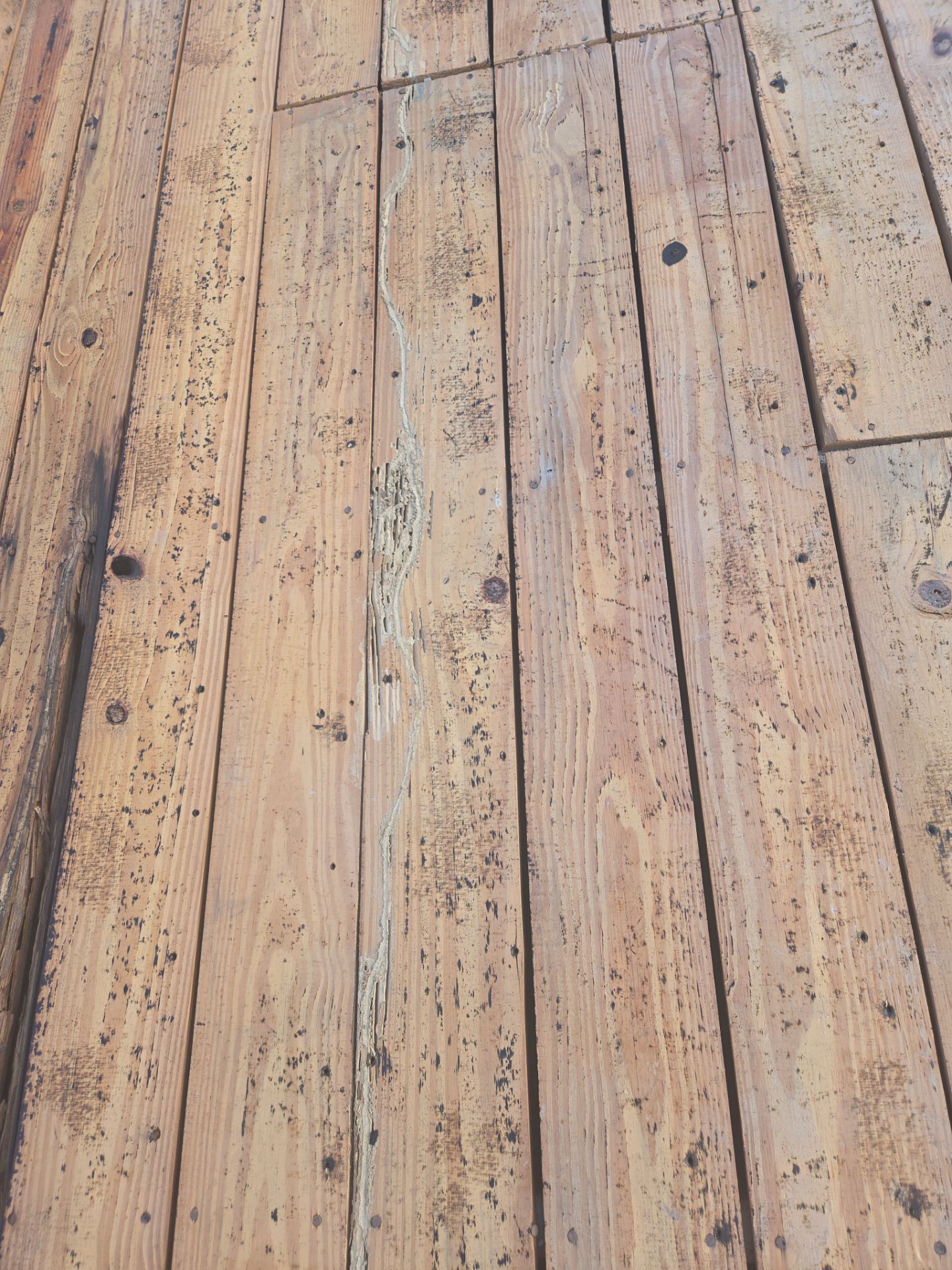 Project in St. Petersburg 33710 by Mitchell Roofing Company LLC 