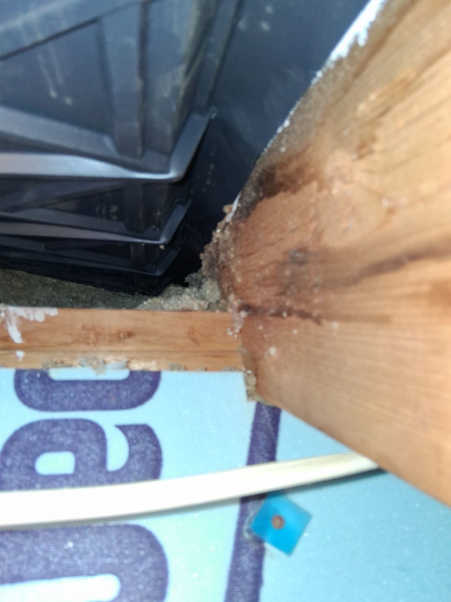 Attic Insulation and Repair by Toledo Basement Repair