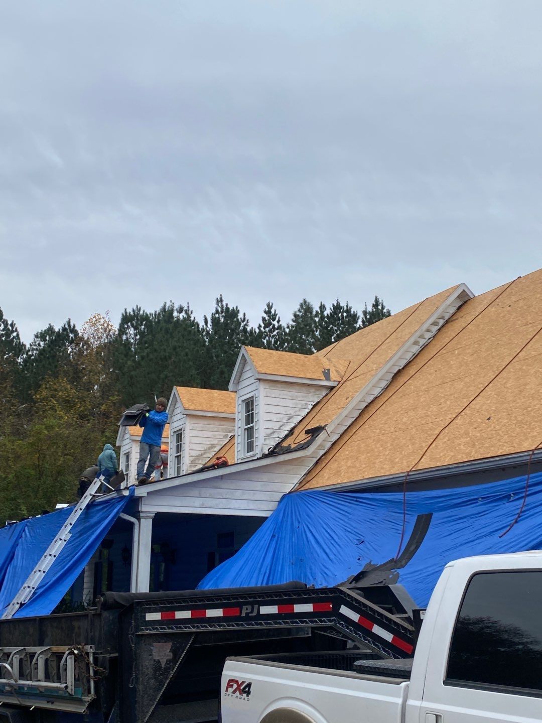 Project in Creedmoor - Certainteed Landmark Silver Birch by Pro Performance Roofing