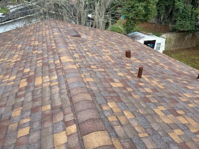 Shingle -> Shingle