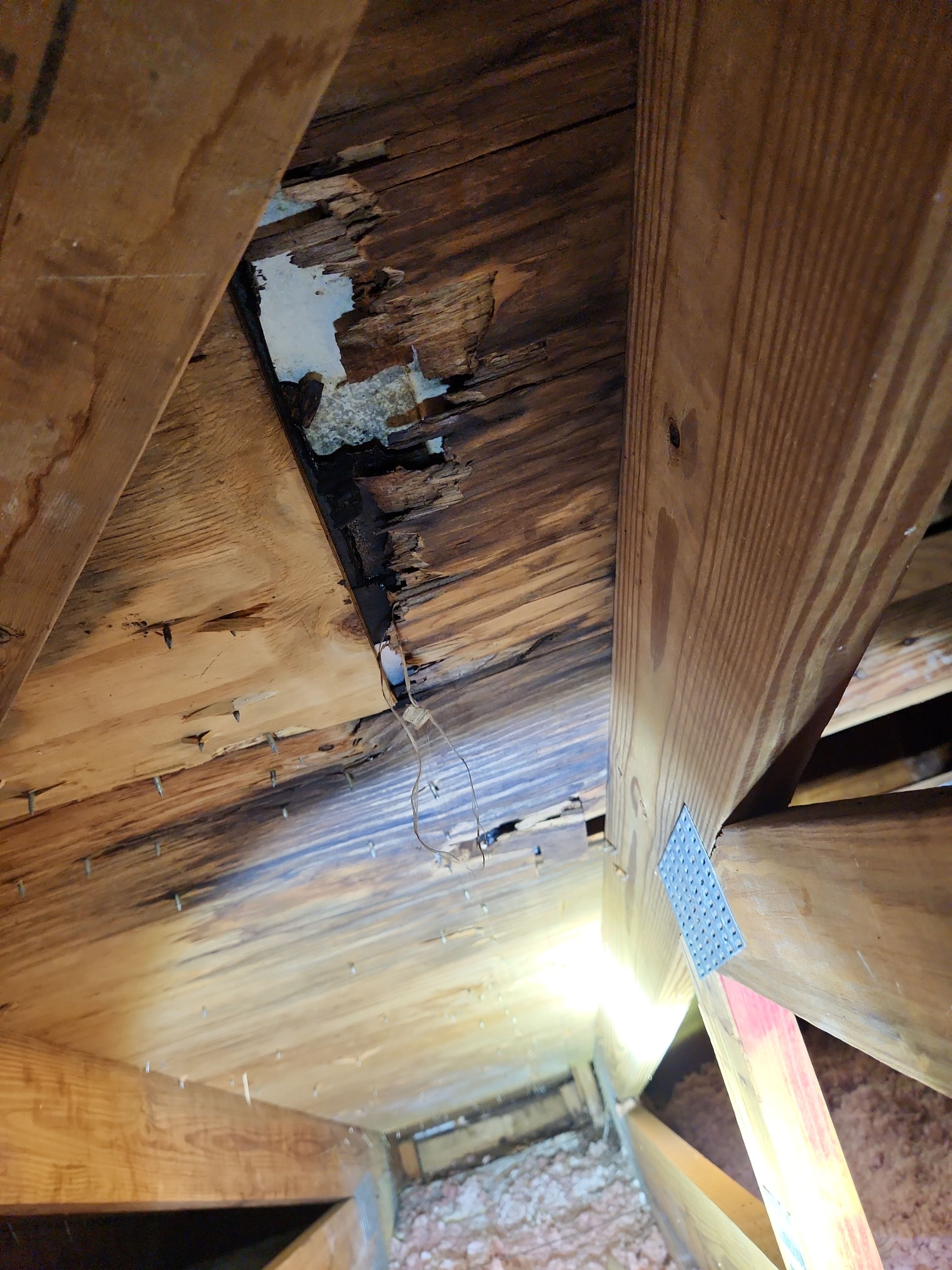Clay Tile Roof Leak Repair and Sheathing Replacement in Hollywood by Aastro Roofing