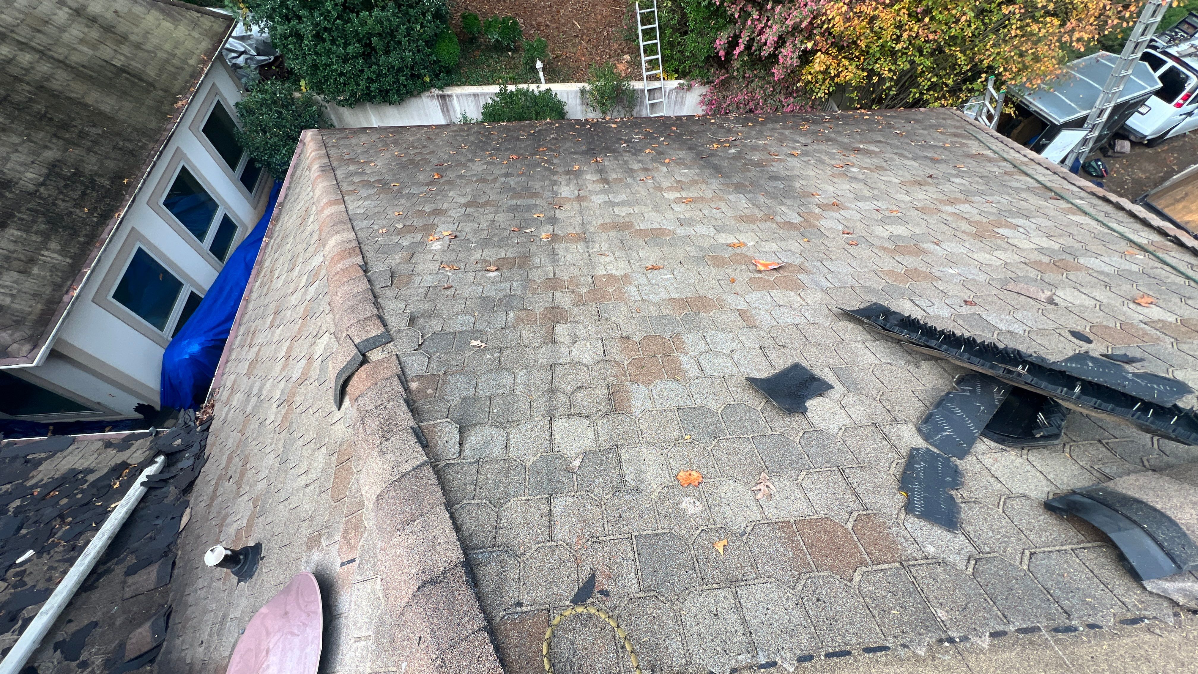 Catherine Cutter by United Contracting and Roofing