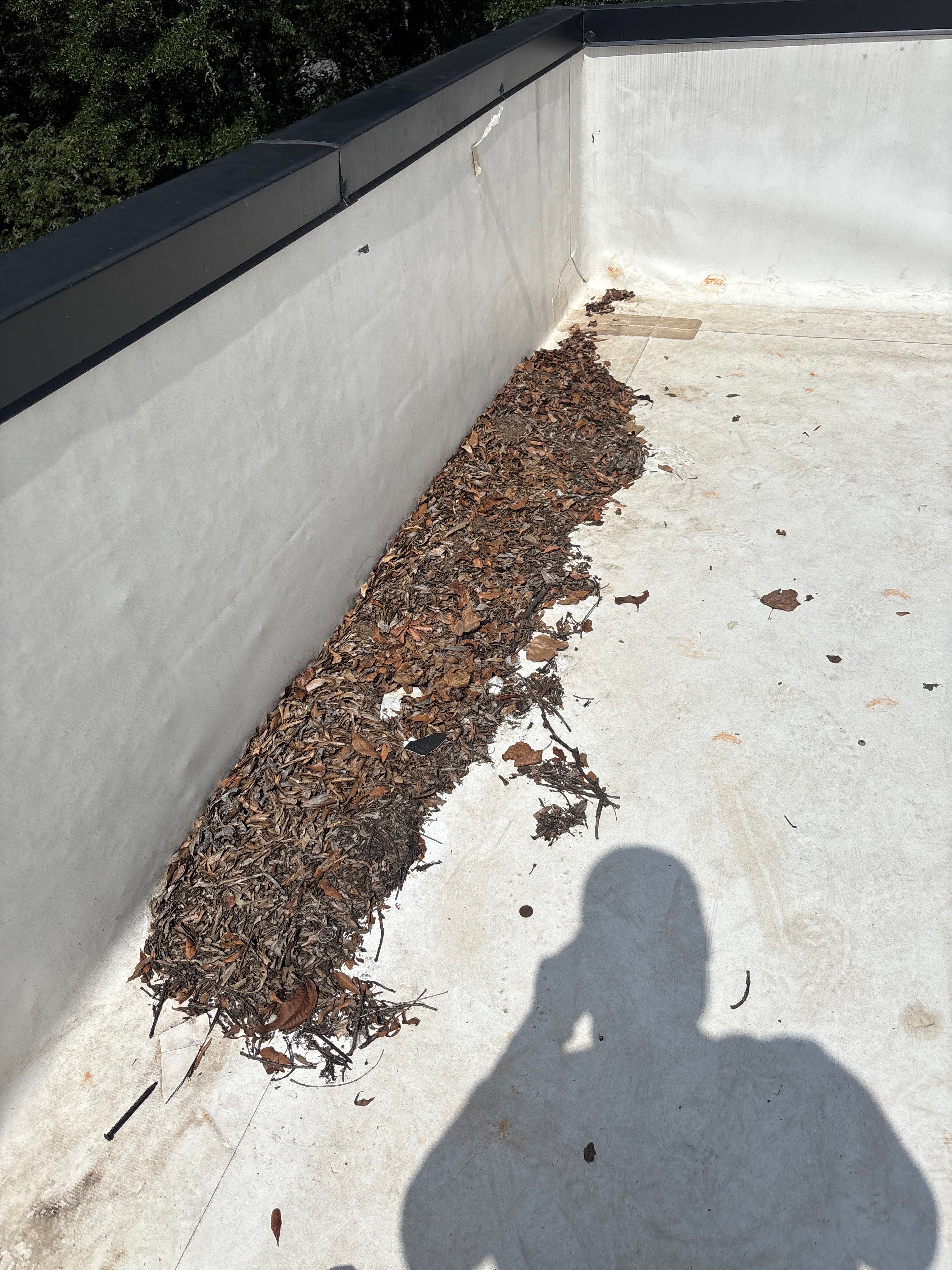 TPO  by Deerfield Roofing LLC