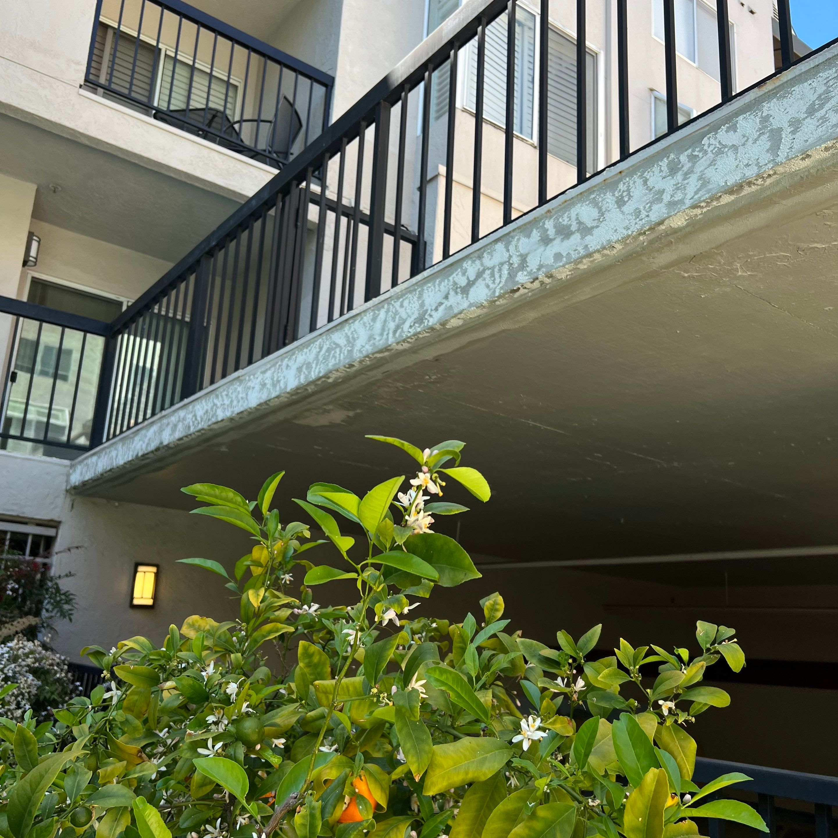 Breezeway Edge Replacement by Anza Builders, Inc. 