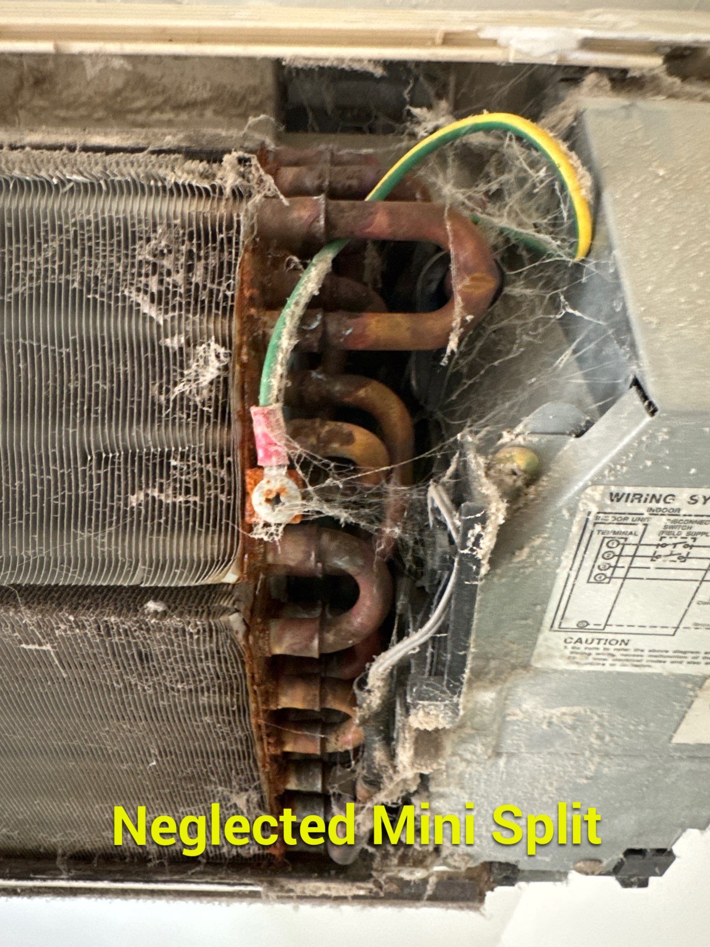 New Paltz, NY — Mini-Split Deep Clean & Biological Growth Removal by Shelter Air