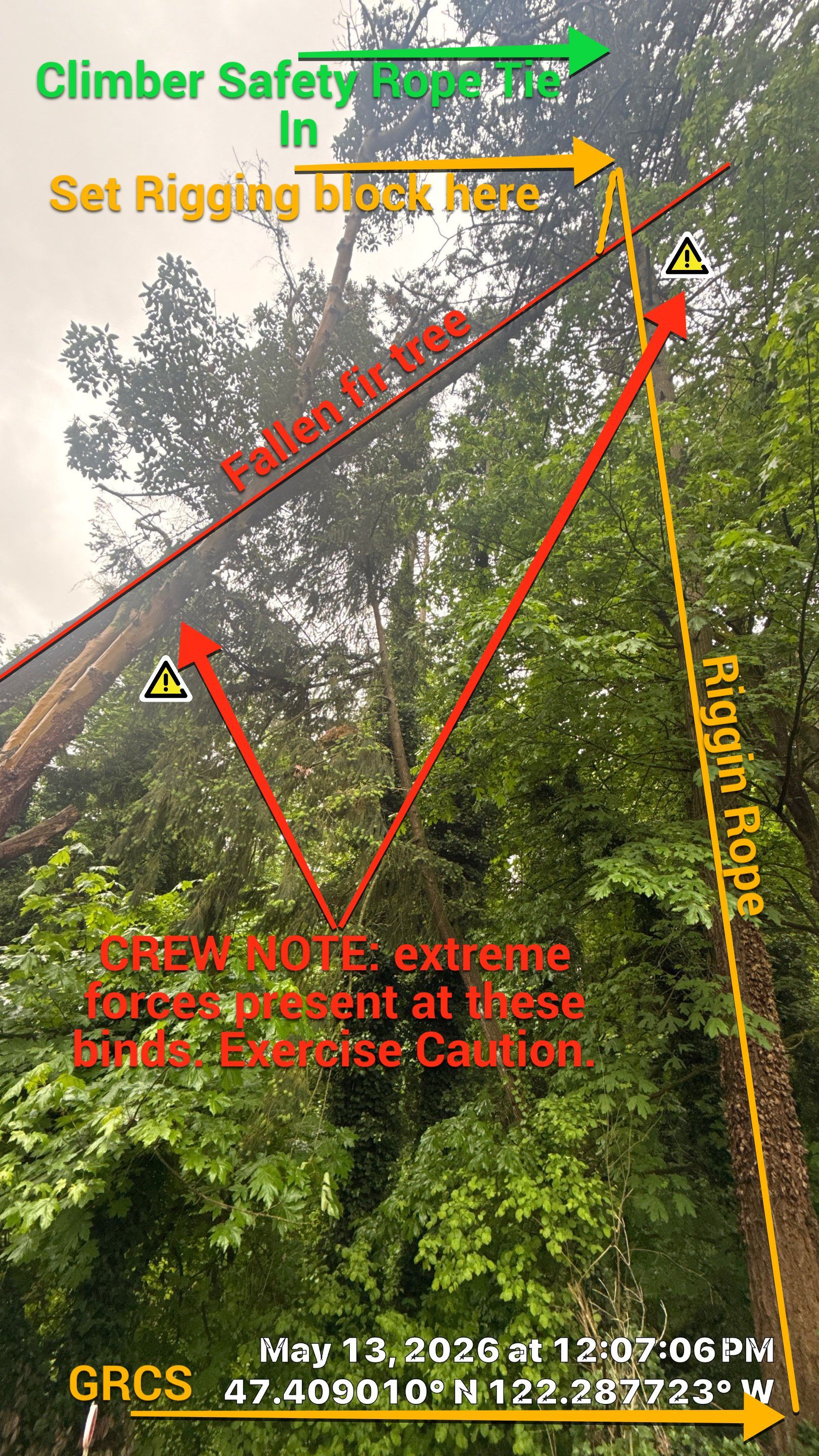 Emergency Hazard Tree Removal and Rigging Operations in SeaTac, WA