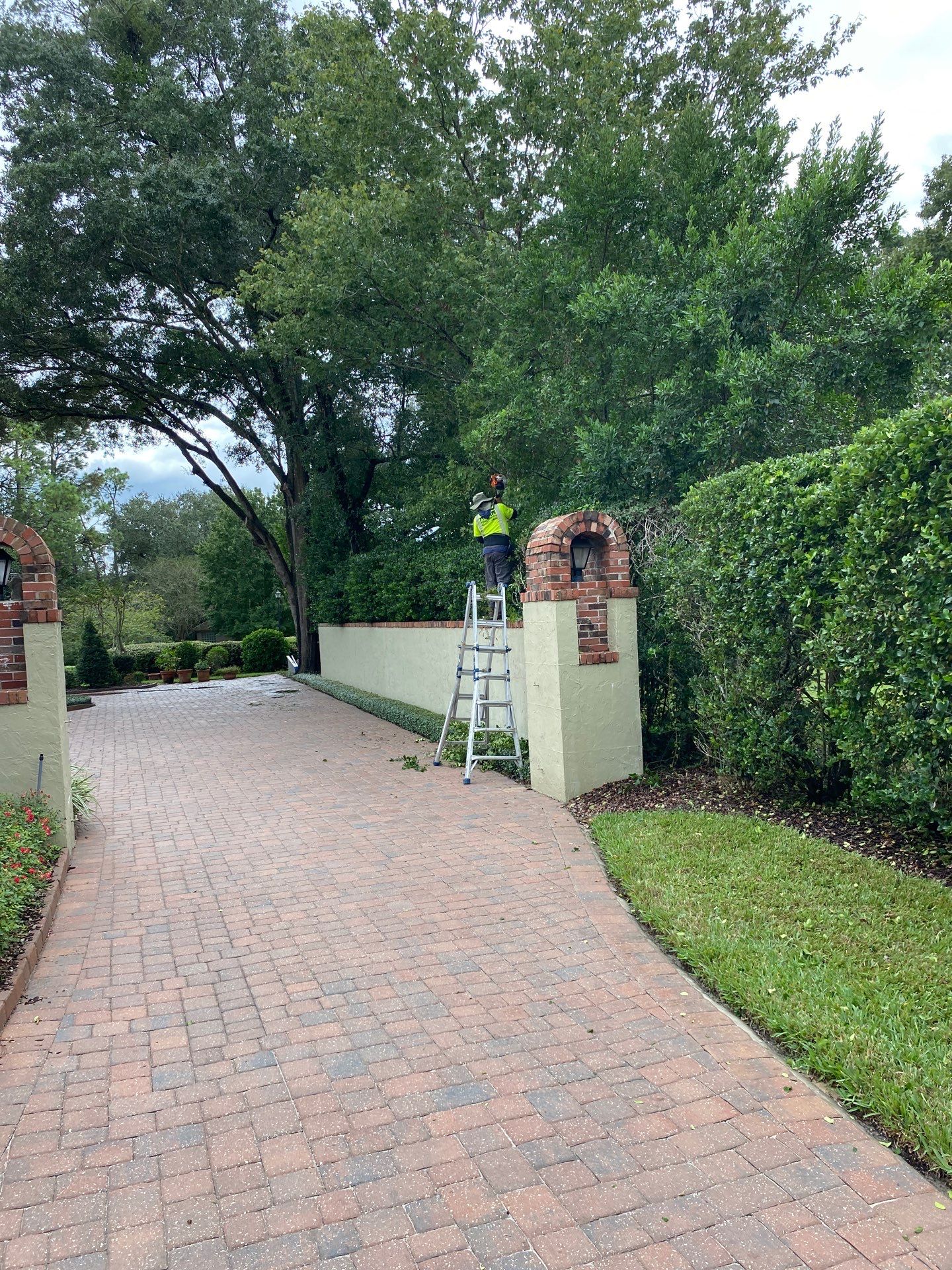 Deerwood Resident | Shrub Work by ProGreen Services