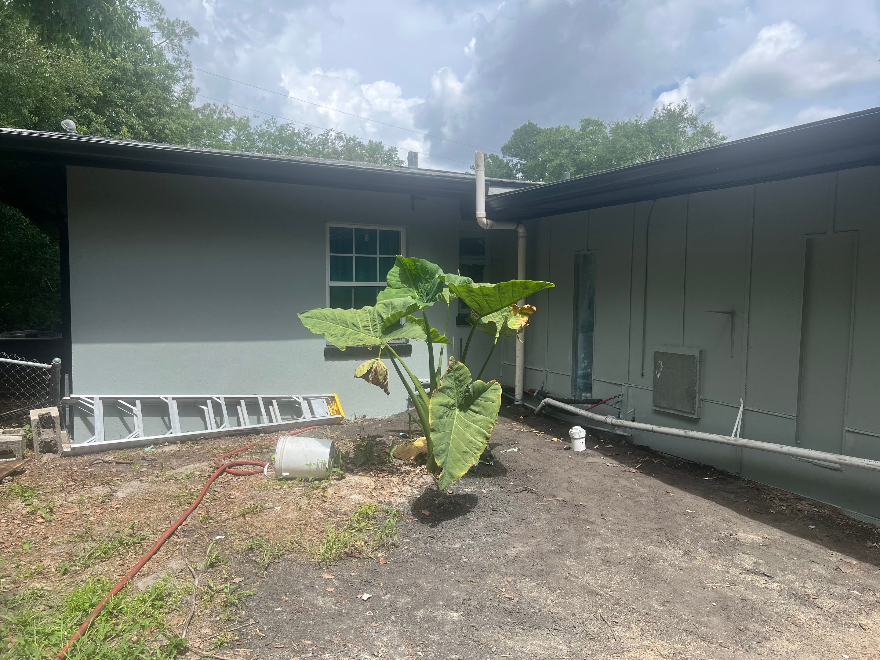 Project in Jacksonville by Colorwise Painting