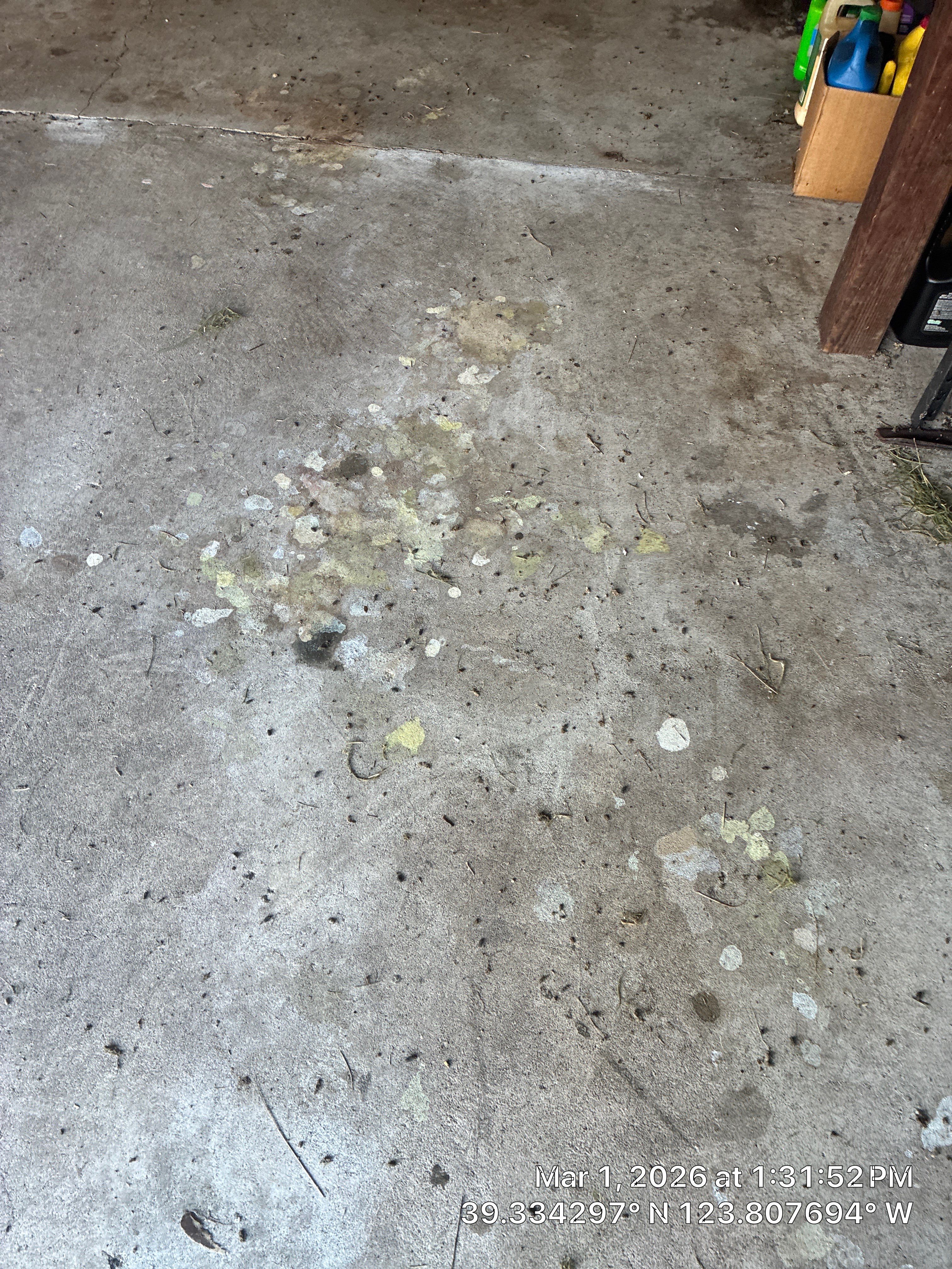 Project in Mendocino by 911 Hazmat Cleanup 