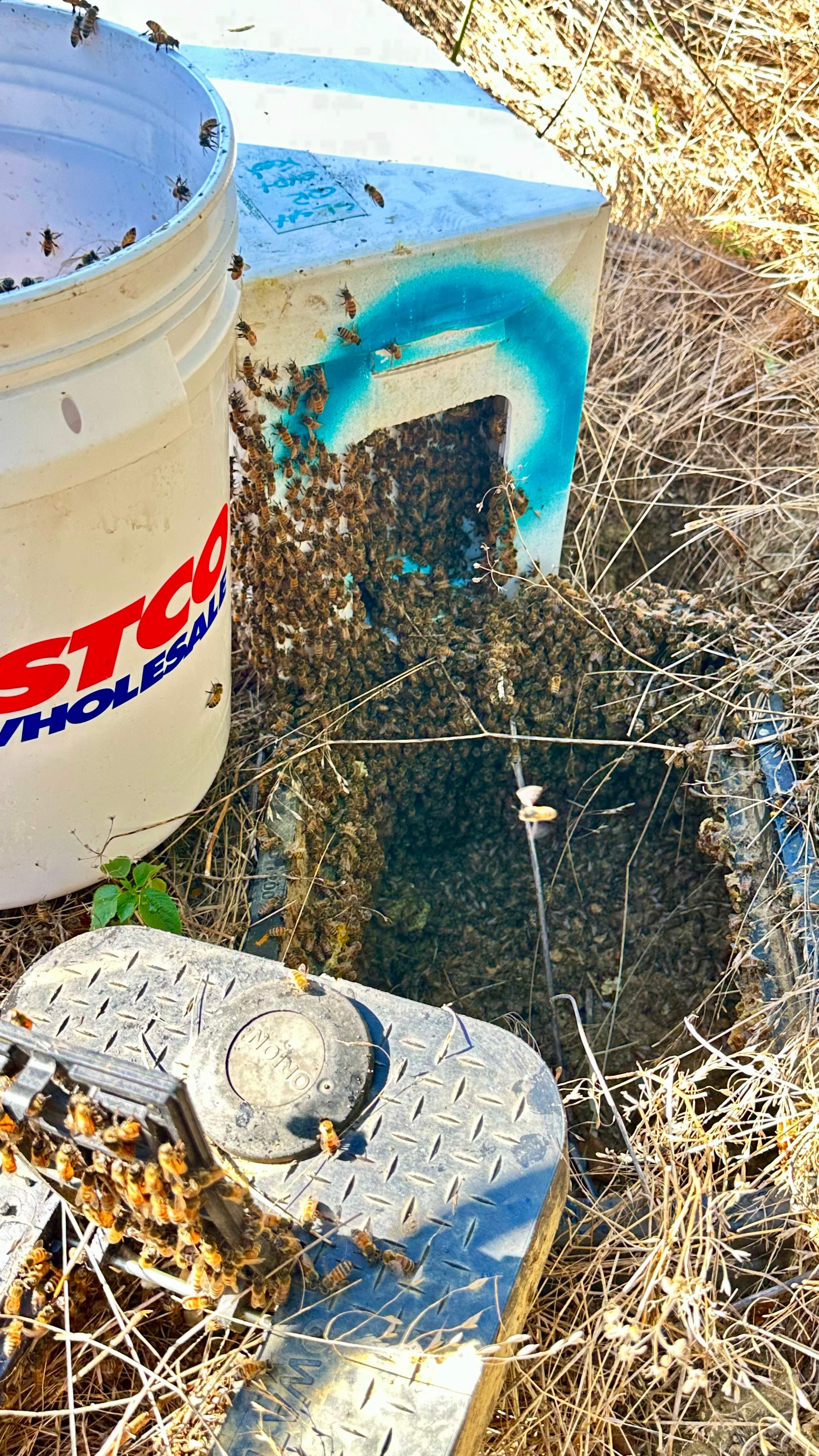 Well Meter by Rockwall Honey Bee Company