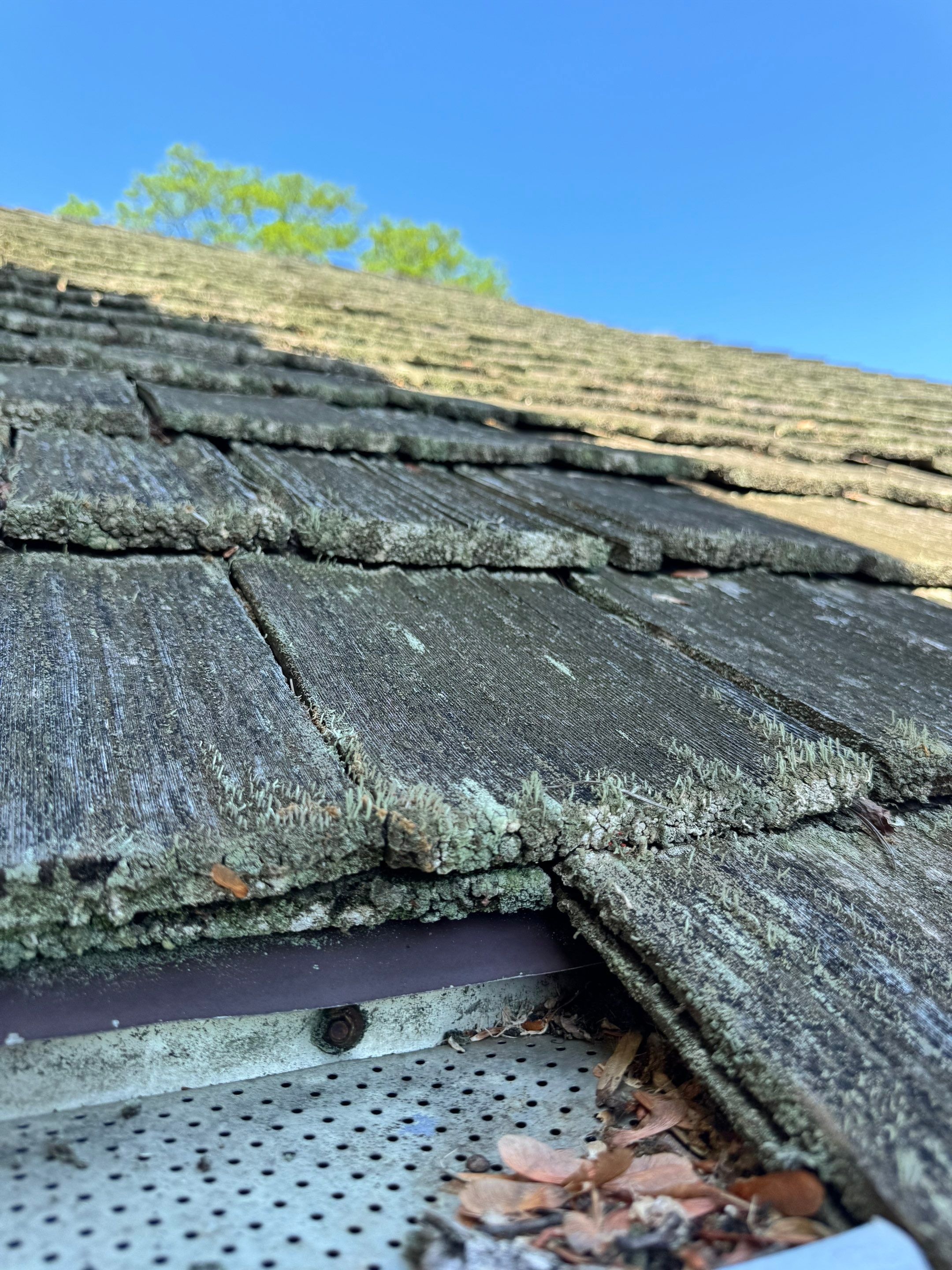 Arlington: CertainTeed Grand Manor Designer Shingles in Weathered Wood by RM Banning, Inc.