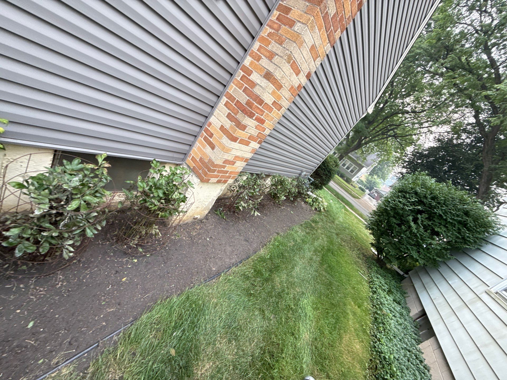 Donna L. - Arlington Heights, IL by A&N