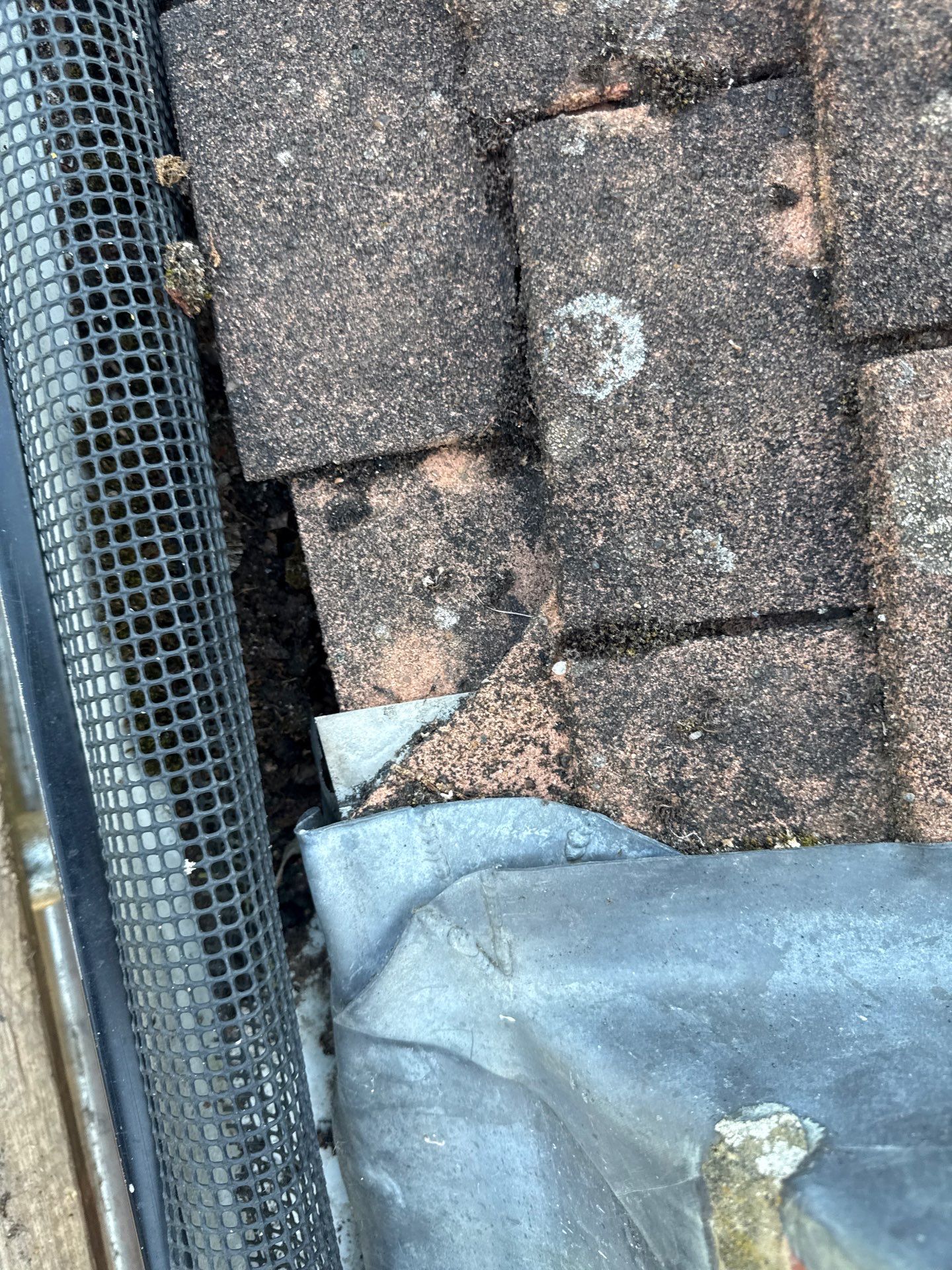 Roof Clean - Gutter Clean - Biocide Treatment by Ges Exterior Cleaning ltd