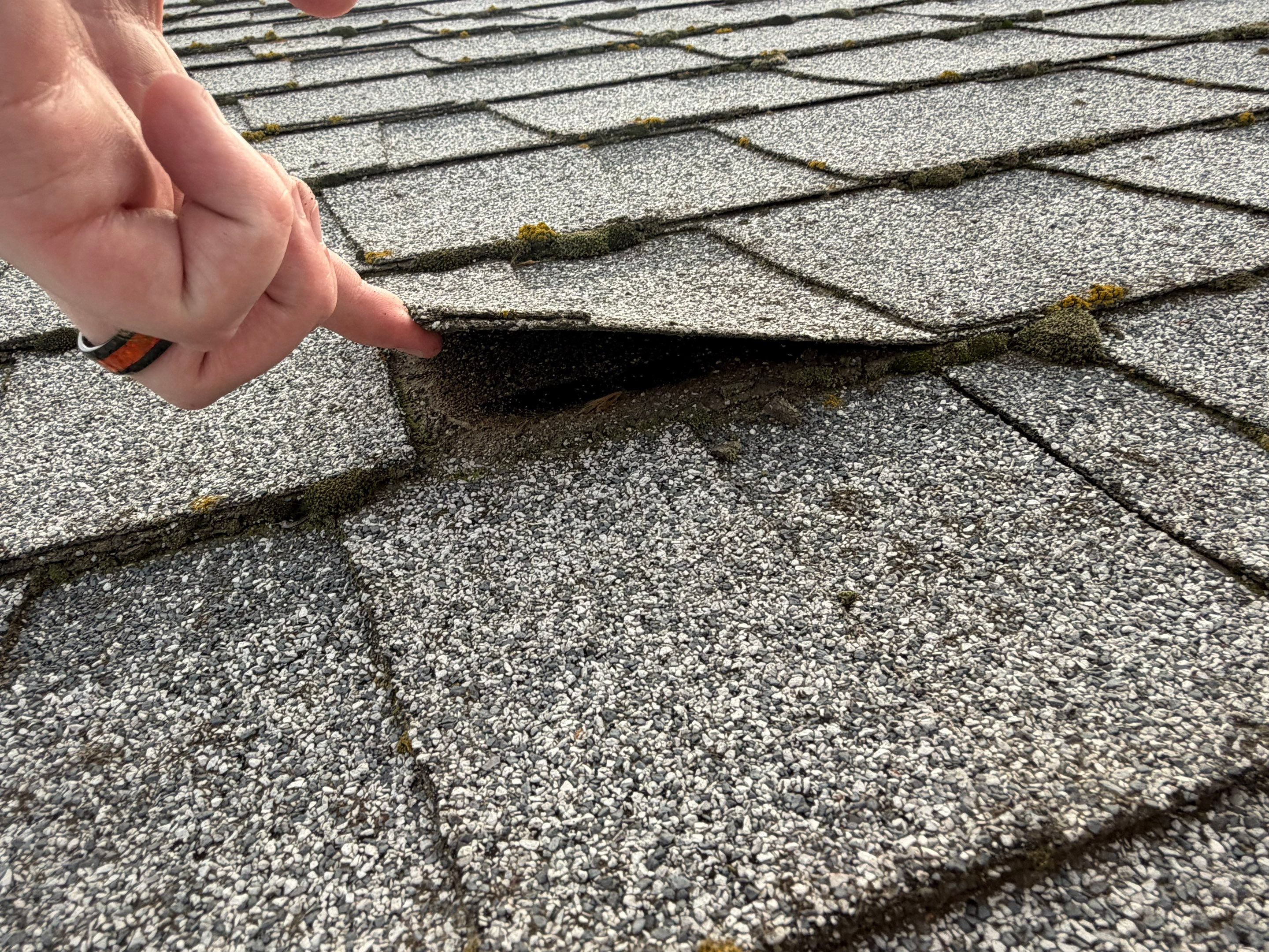 Roof, Siding, Door by BN Covered Exteriors