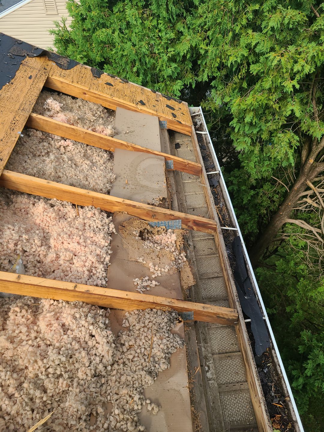 Falls Church: CertainTeed Landmark Pro Designer Shingles in Max Def Pewterwood by RM Banning, Inc.