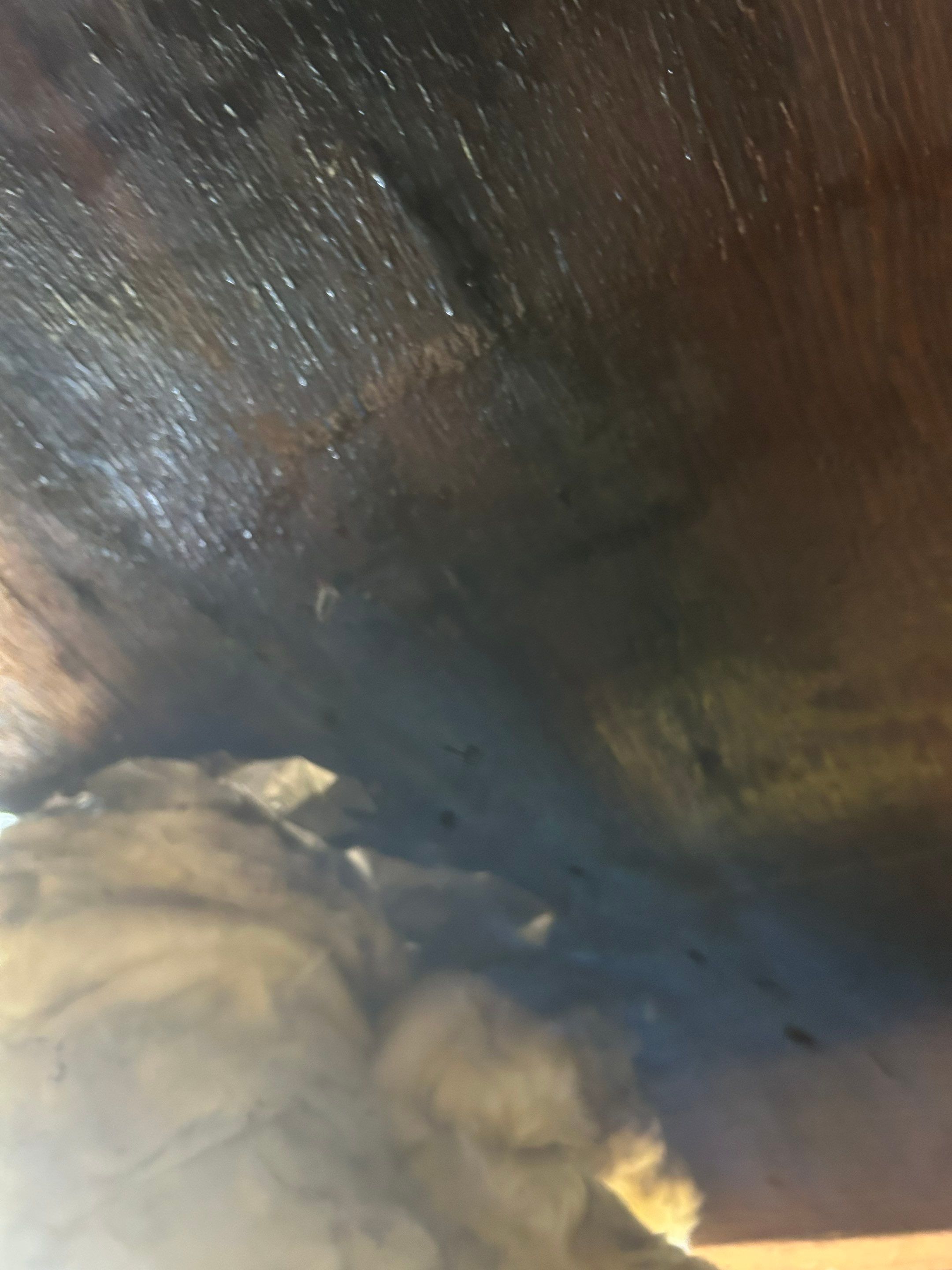 Project in Shoreline by Connolly Construction Company