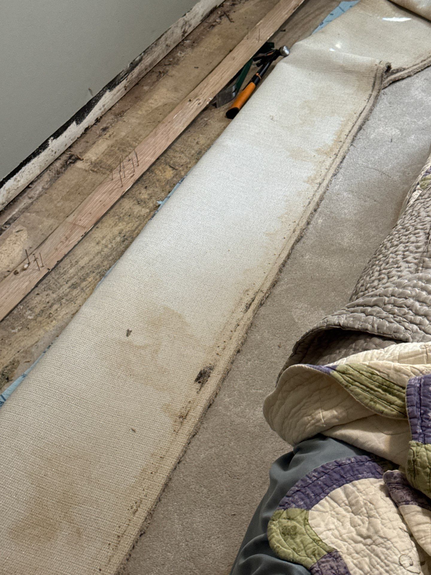 Professional Mold Remediation and Containment Services in Deerfield by Dry Source Property Restoration 