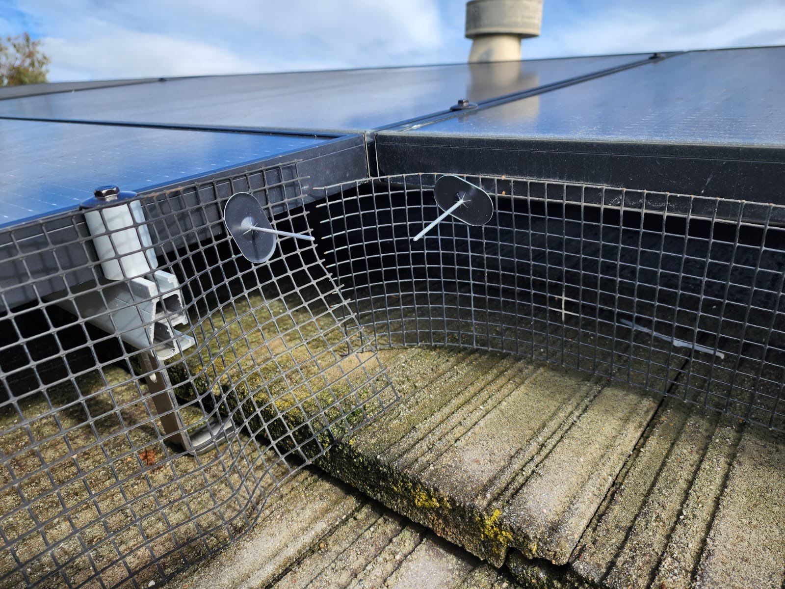 Solar Panel Bird Proofing using Critter Guard Mesh-Flat tile by All One Solar Shine