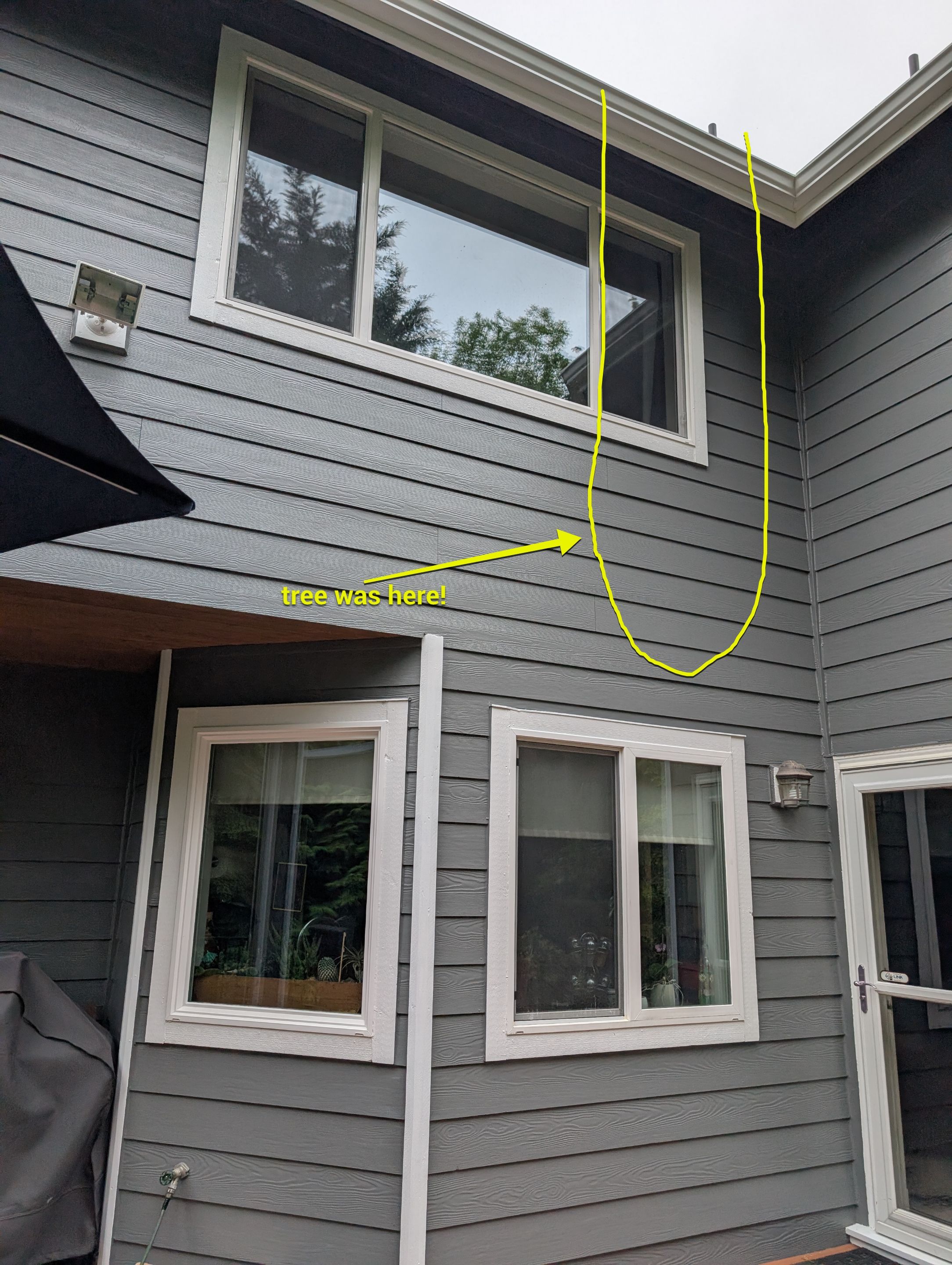 Tree Strike Roof Replacement in Sammamish by RoofSmart