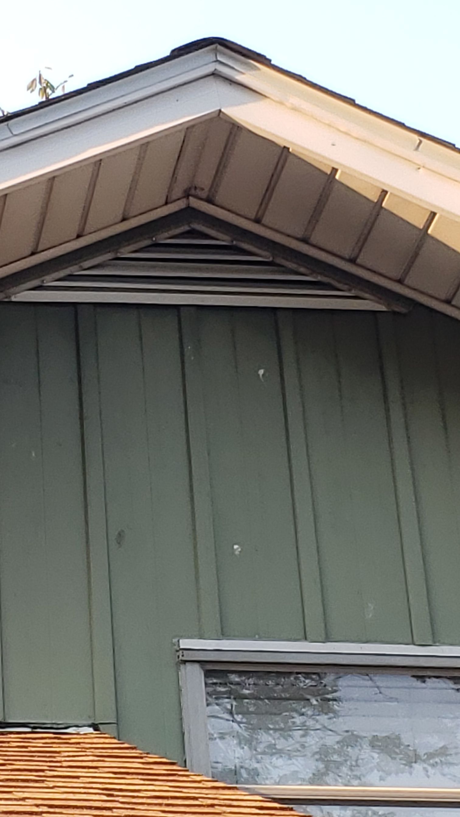 ATLAS PINNACLE COLOR: MORNING HARVEST DRIPE EDGE: WHITE by Eagle Eye Roofing