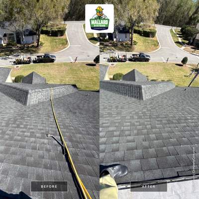 Shingle Roof Cleaning