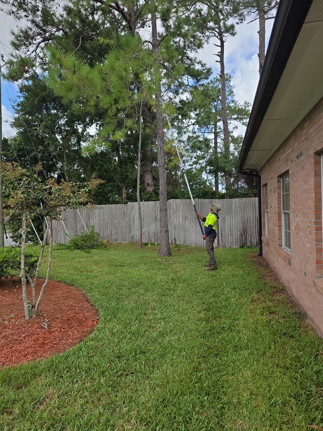 Commercial Property | Tree Removal & Trimming by ProGreen Services