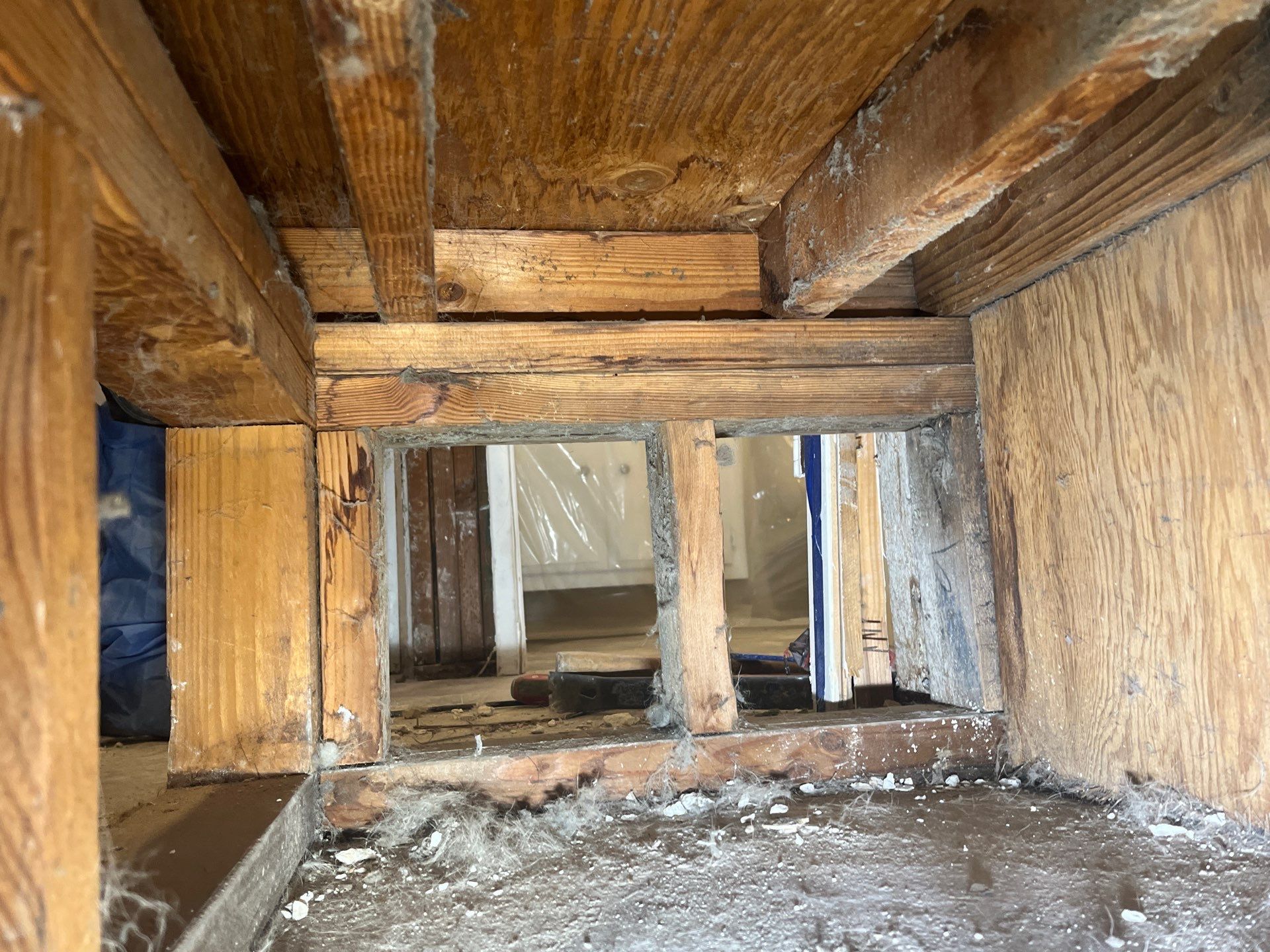 Mold Remediation & Rebuild in Laguna Niguel by One Stop Source