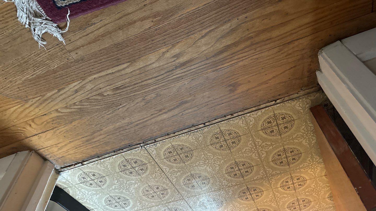 Project in Richmond by NuLead Construction Inc