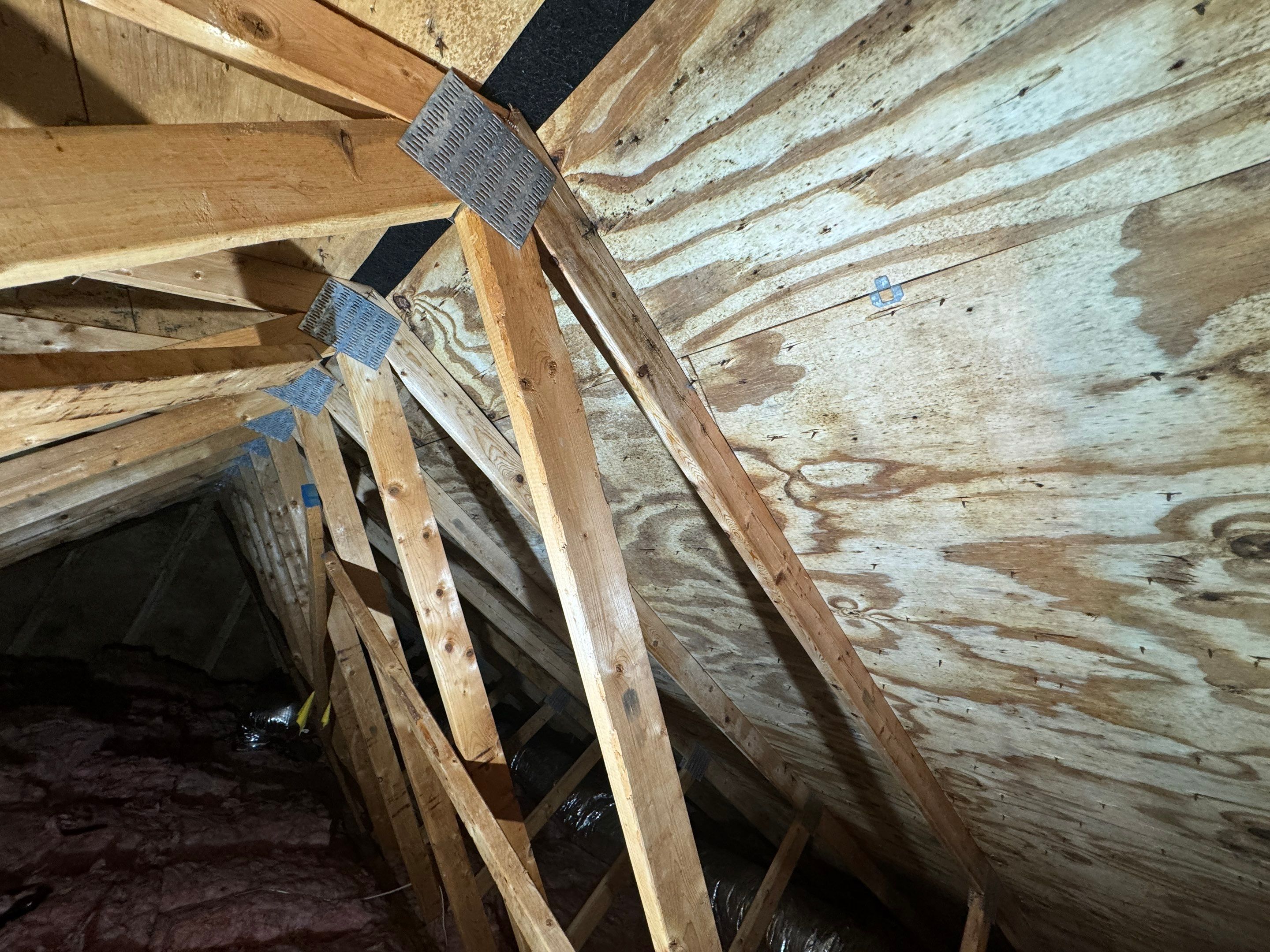 Attic Mold Remediation by Home Guarantee, LLC