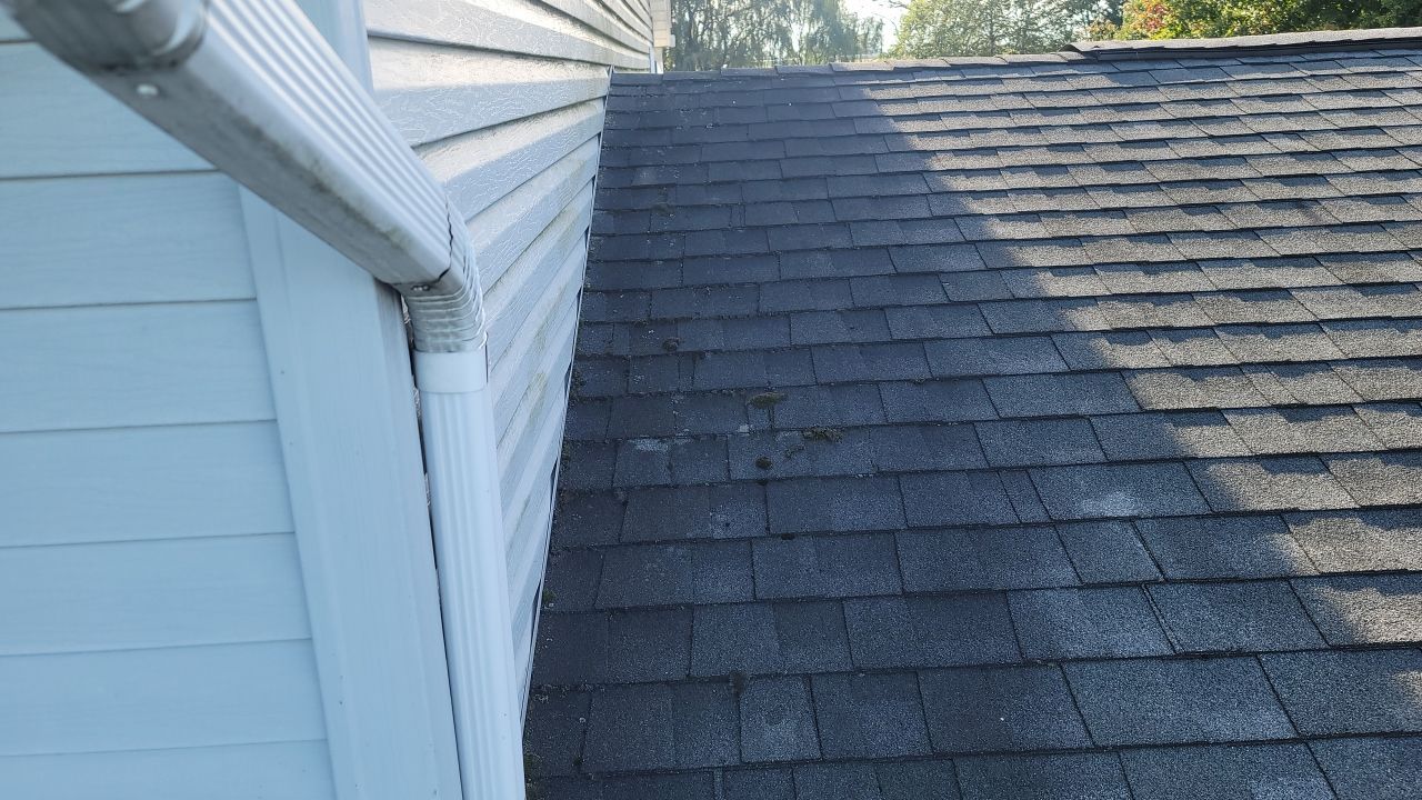 ATLAS PINNACLE COLOR: COASTAL GRANITE by Eagle Eye Roofing