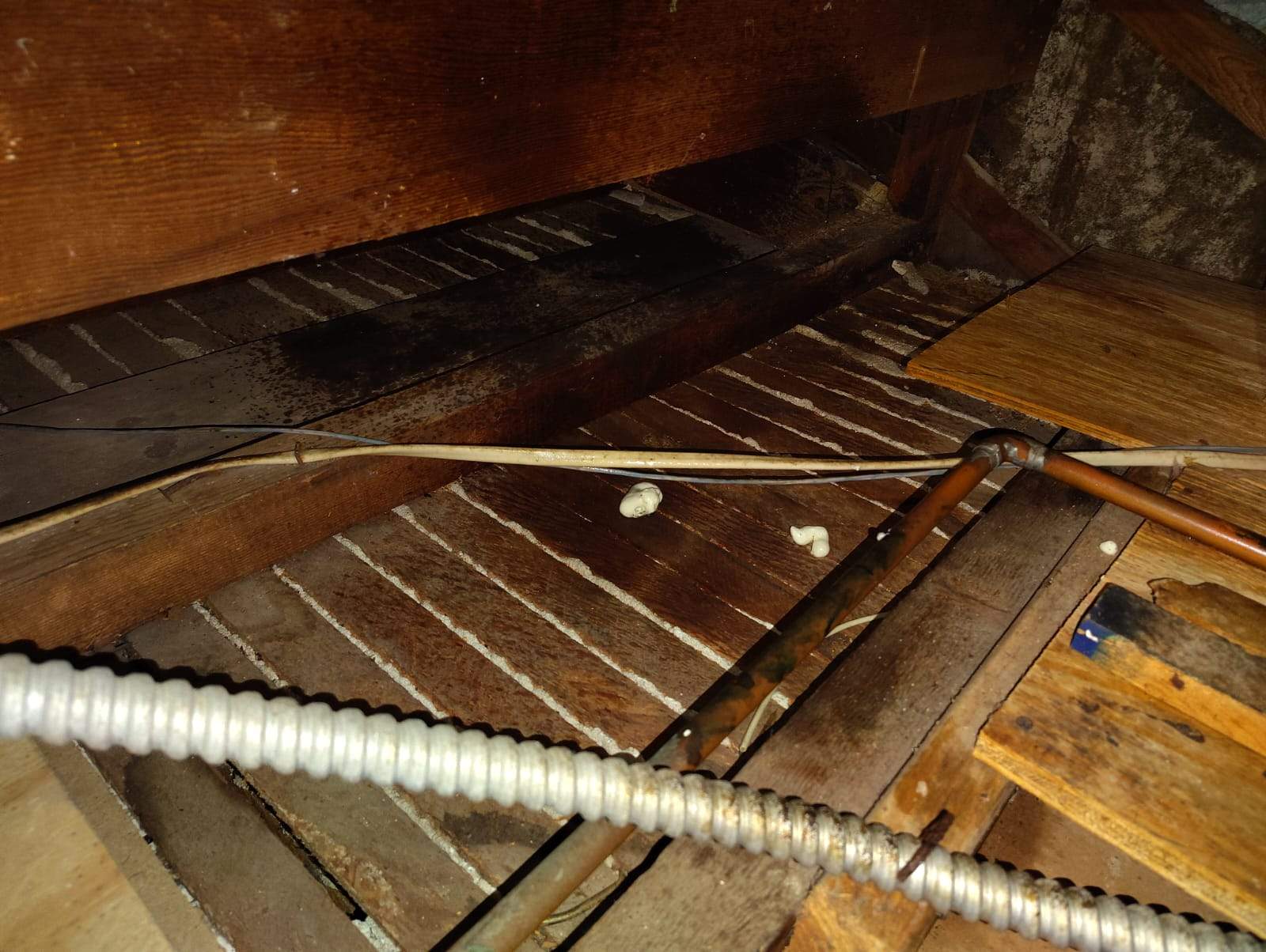 Project by Advanced Attic Solutions by Advanced Attic Solutions