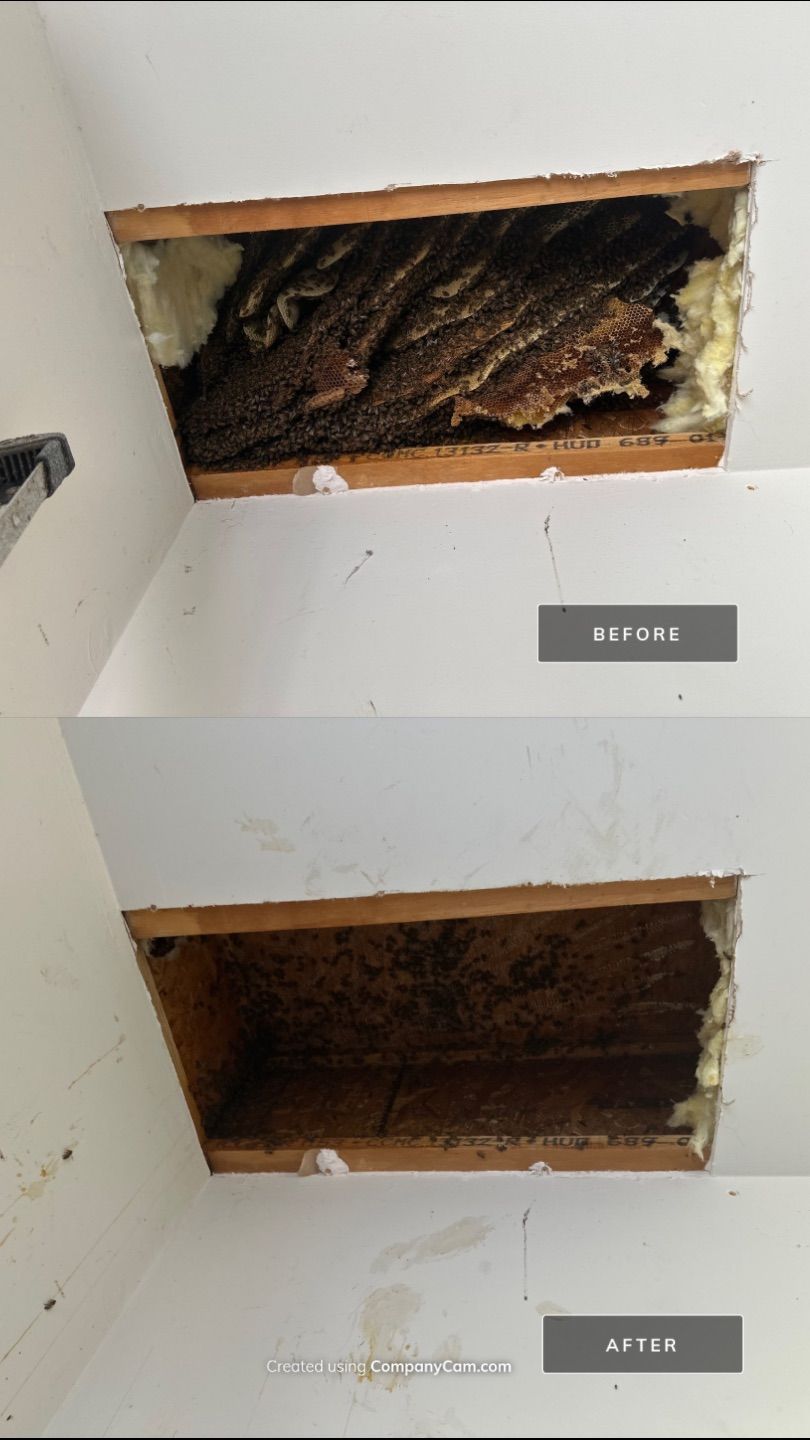 First Spring 2026 by Rockwall Honey Bee Company