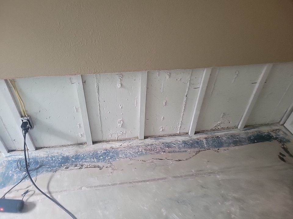 Mold Damage by Accountable Home Services