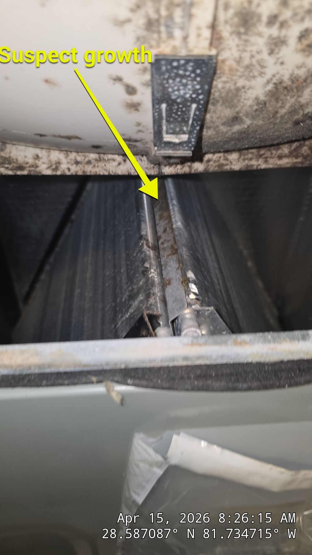 Air Duct Bath Fan Cleaning in Clermont by Hygienic Air, Inc