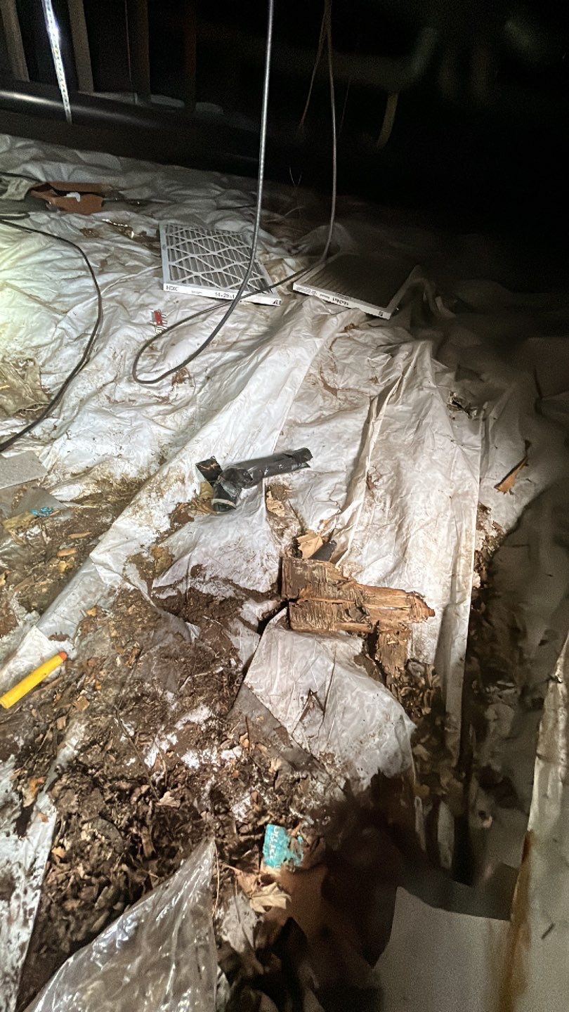 Sewage Backup by Accountable Home Services