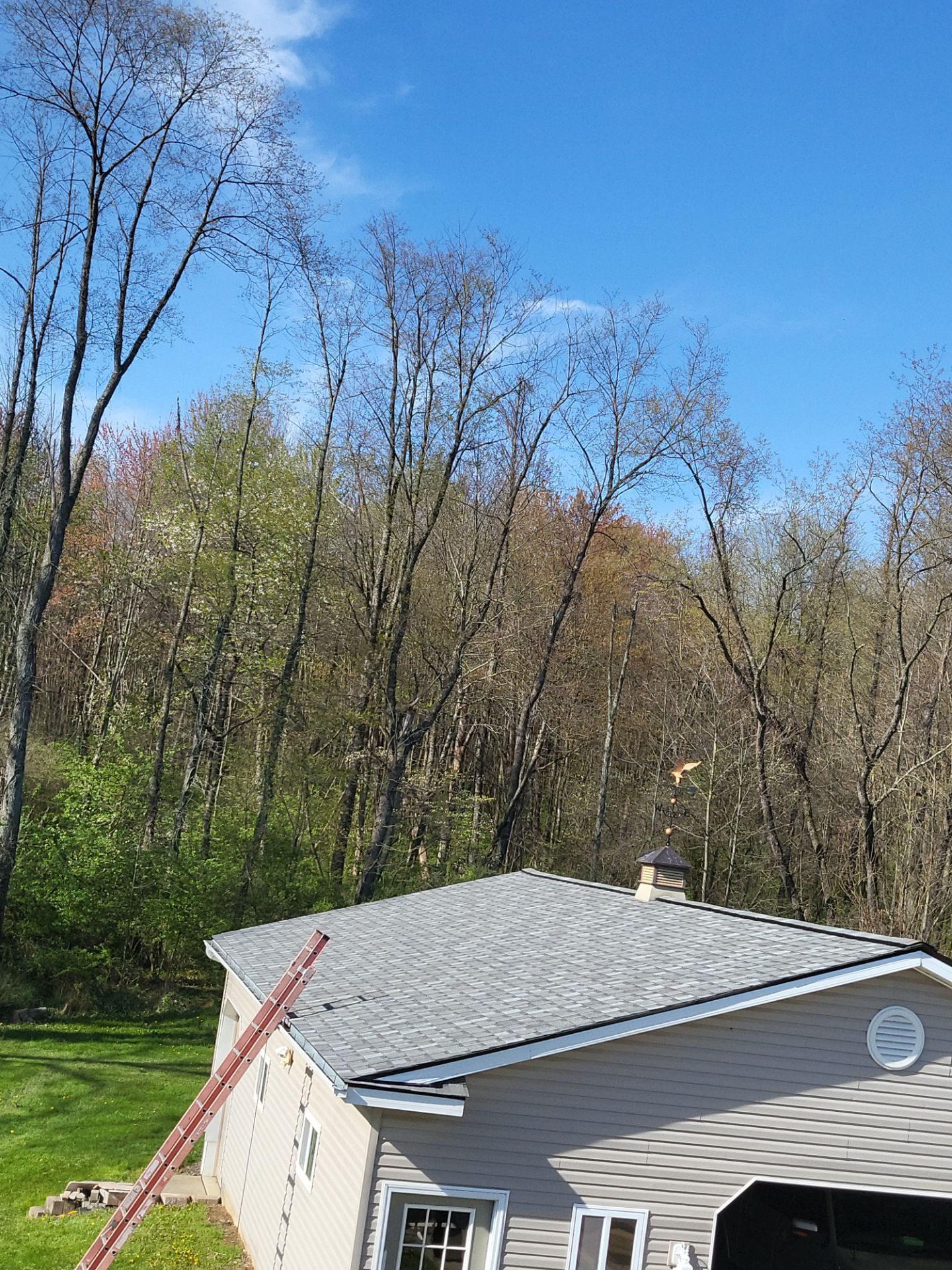 Atlas Pinnacle, Color, Coastal Granite, Drip Edge, Birch White by Eagle Eye Roofing
