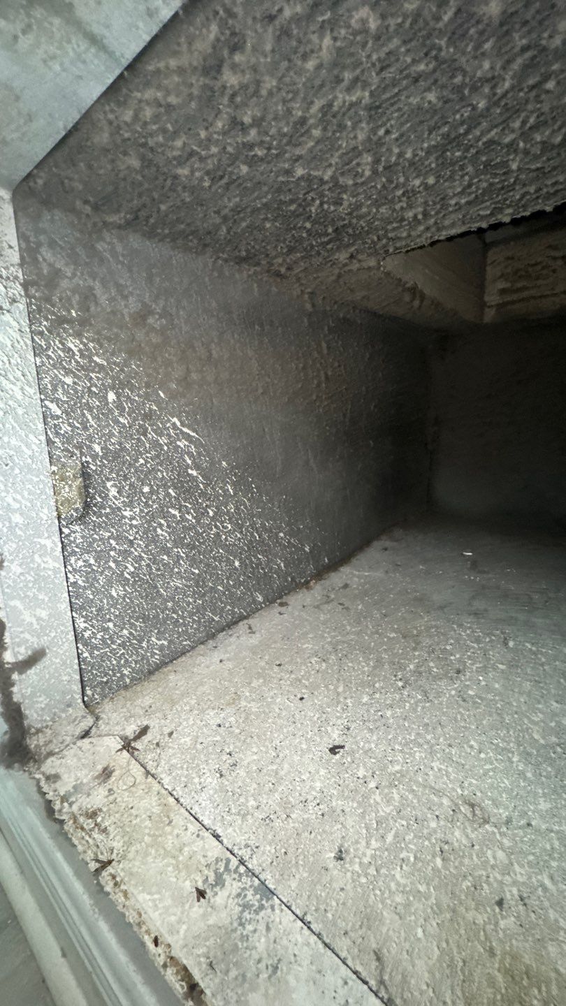 Air Duct and Dryer Vent Cleaning in Clermont by Hygienic Air, Inc