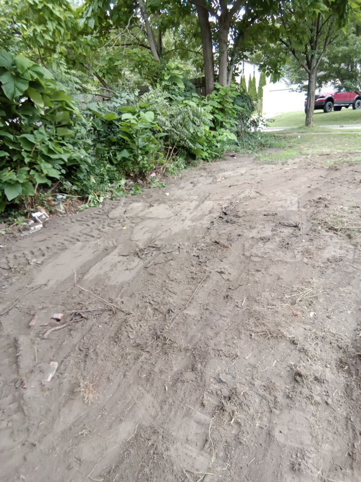 Tree Removal using Tree Removal by Mike Jones & Sons Tree Service LLC 