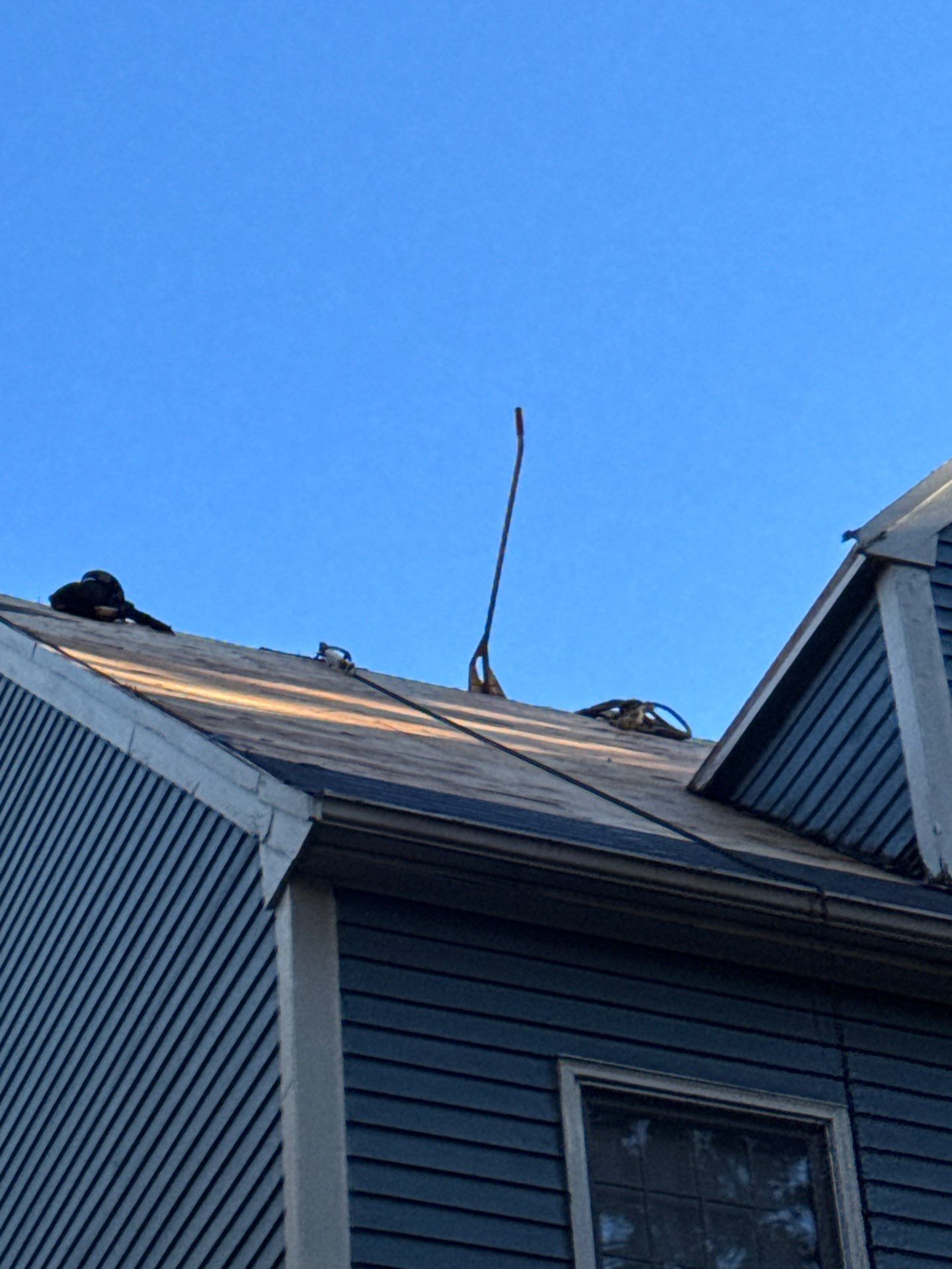 Milford Complete Roof Replacement with Velux Skylight Upgrade by Mighty Dog Roofing of Greater Middlesex County