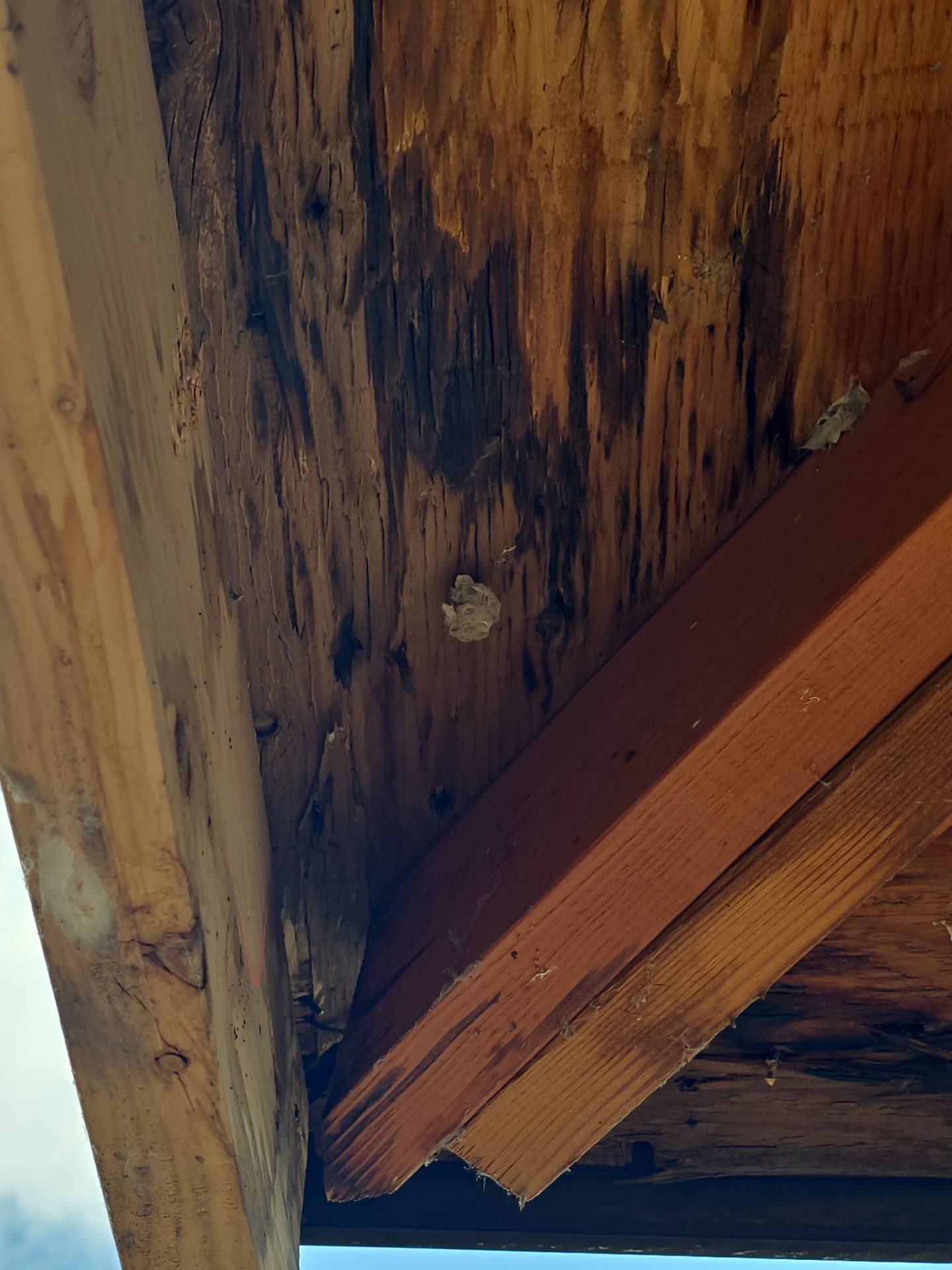 Project in South Weber by Emerald Gotcha Gutters 