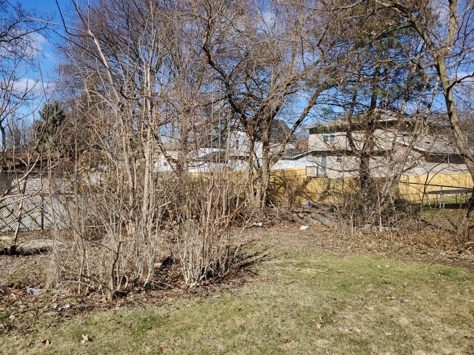 Tree Removal using Tree Removal by Mike Jones & Sons Tree Service LLC 