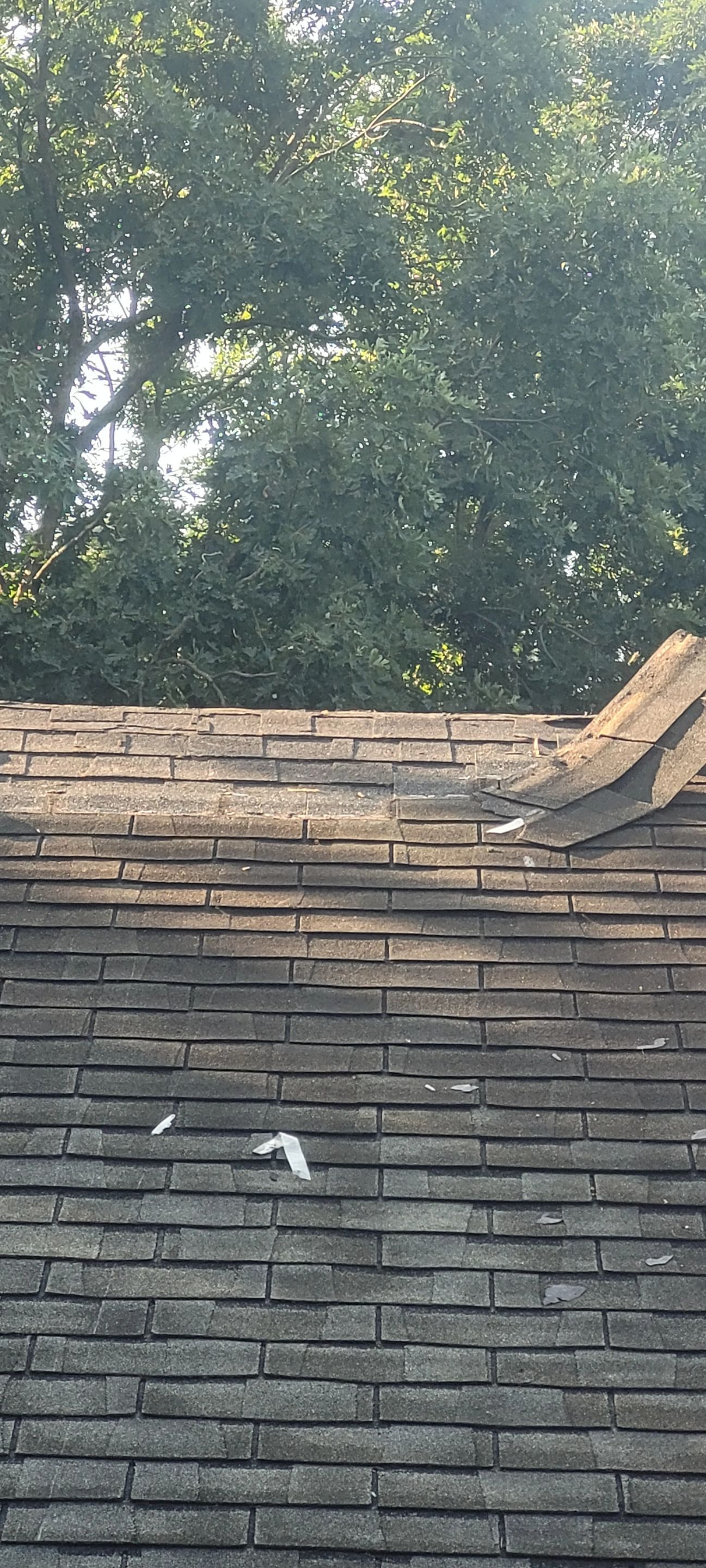DiGiorgi transormation roof in Manchester, CT! by DiGiorgi Roofing and Siding Inc