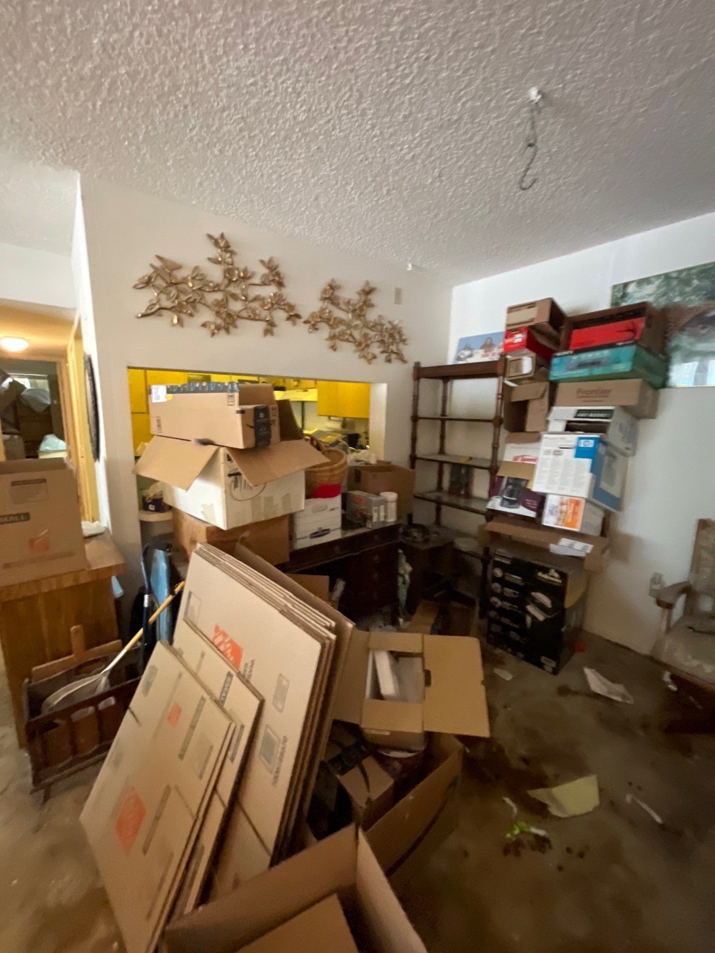 Horder house with Mold and Bacterial Contamination Issues  by Bay Coast Restoration 