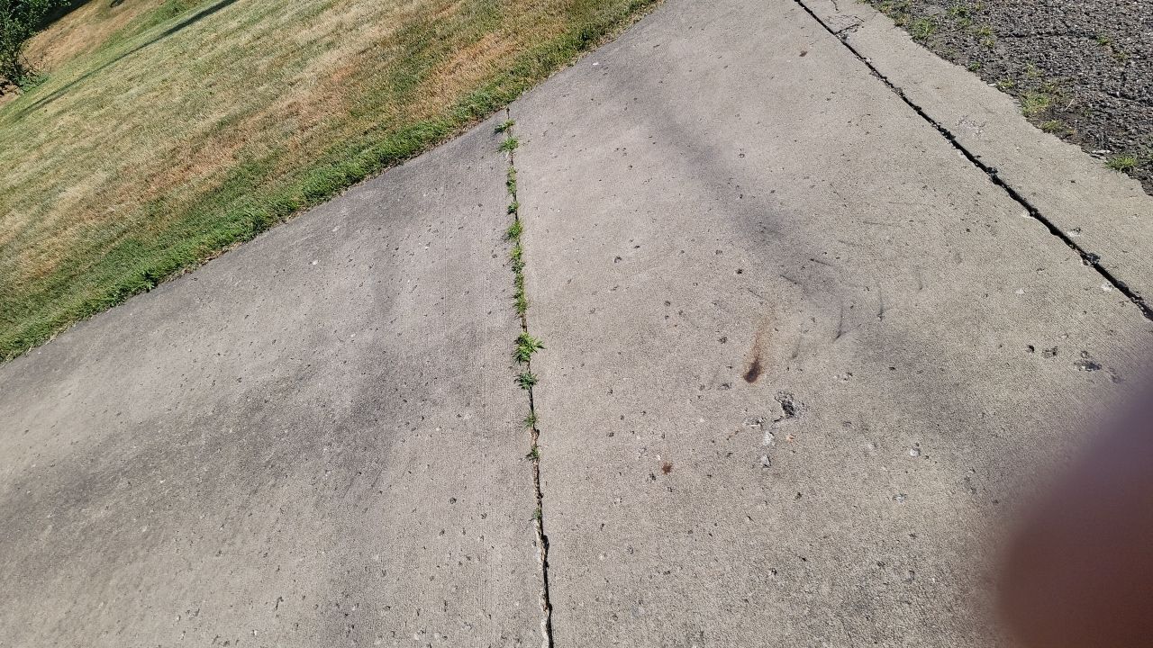 Brand: Atlas Pinnacle Color: Pristine Sunset Drip: White by Eagle Eye Roofing