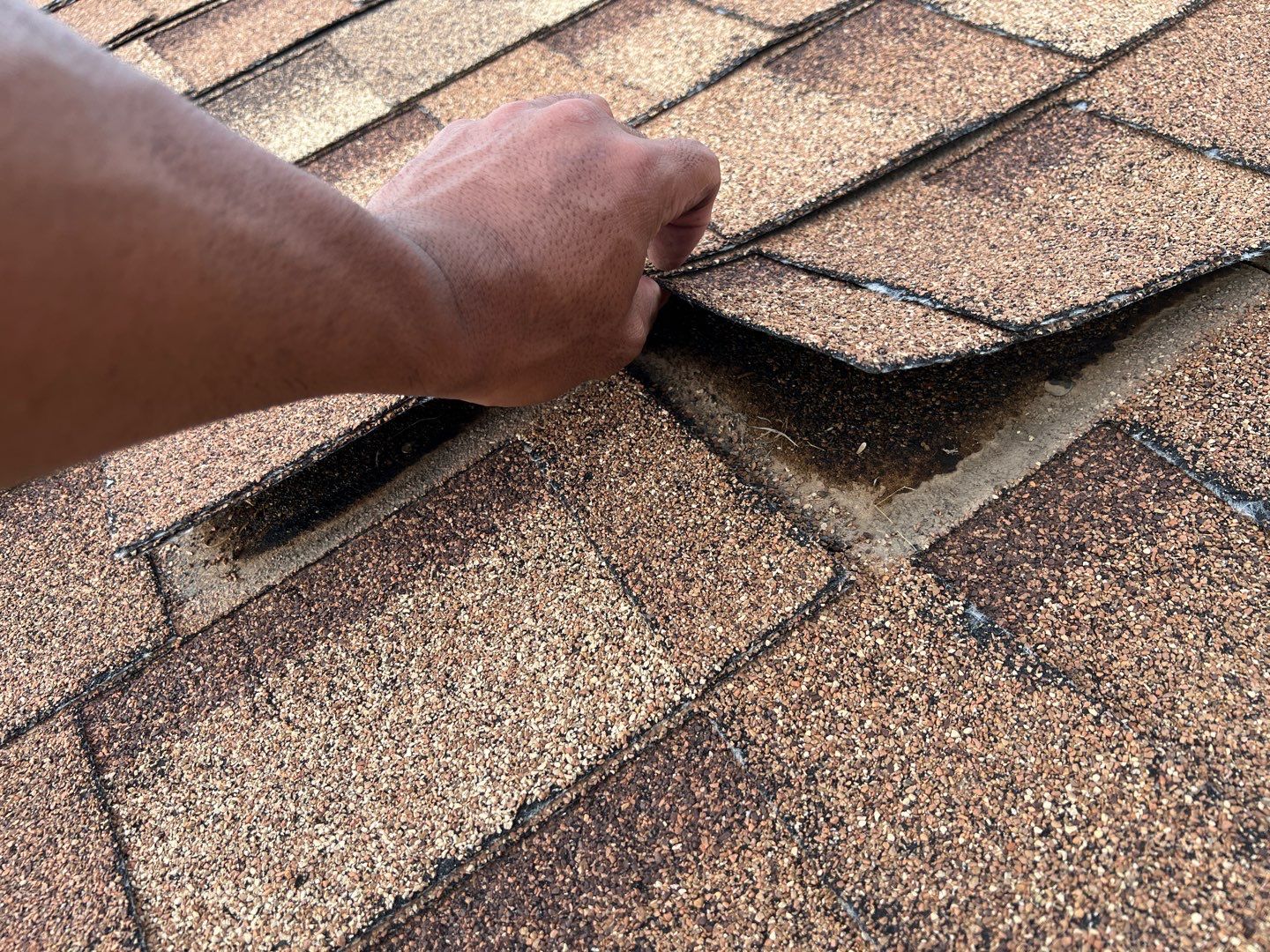 Jenna's Re-Roof and Ridge Vents by All Storm Roofing & Construction