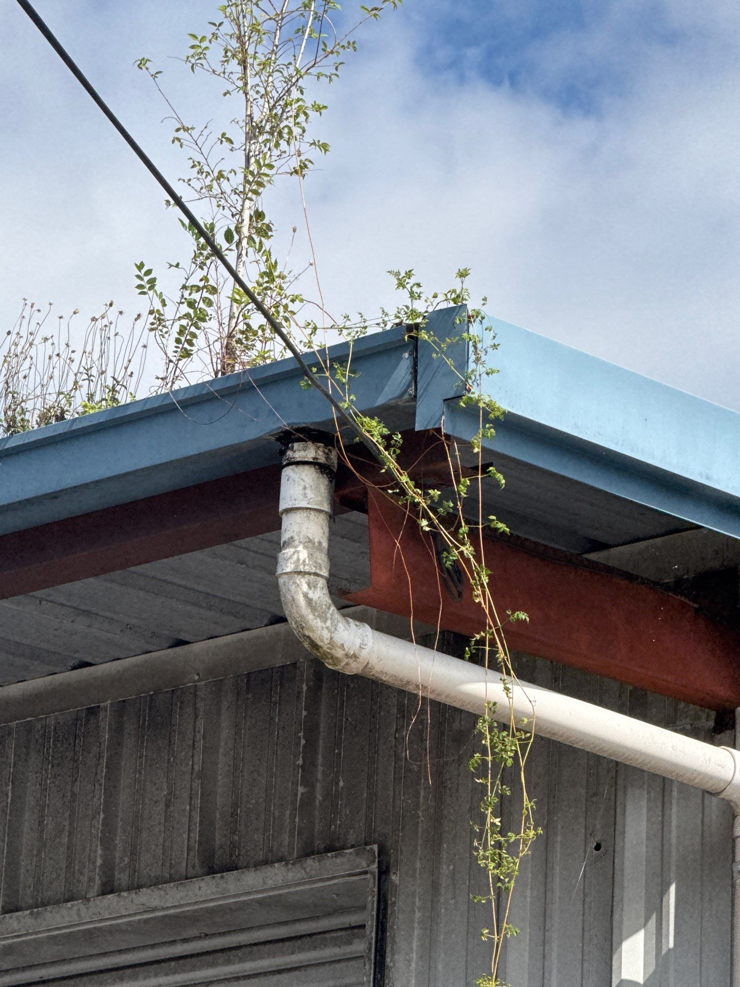 Clean Gutters and Seal Seams in Lakeland FL by Gutter Professors