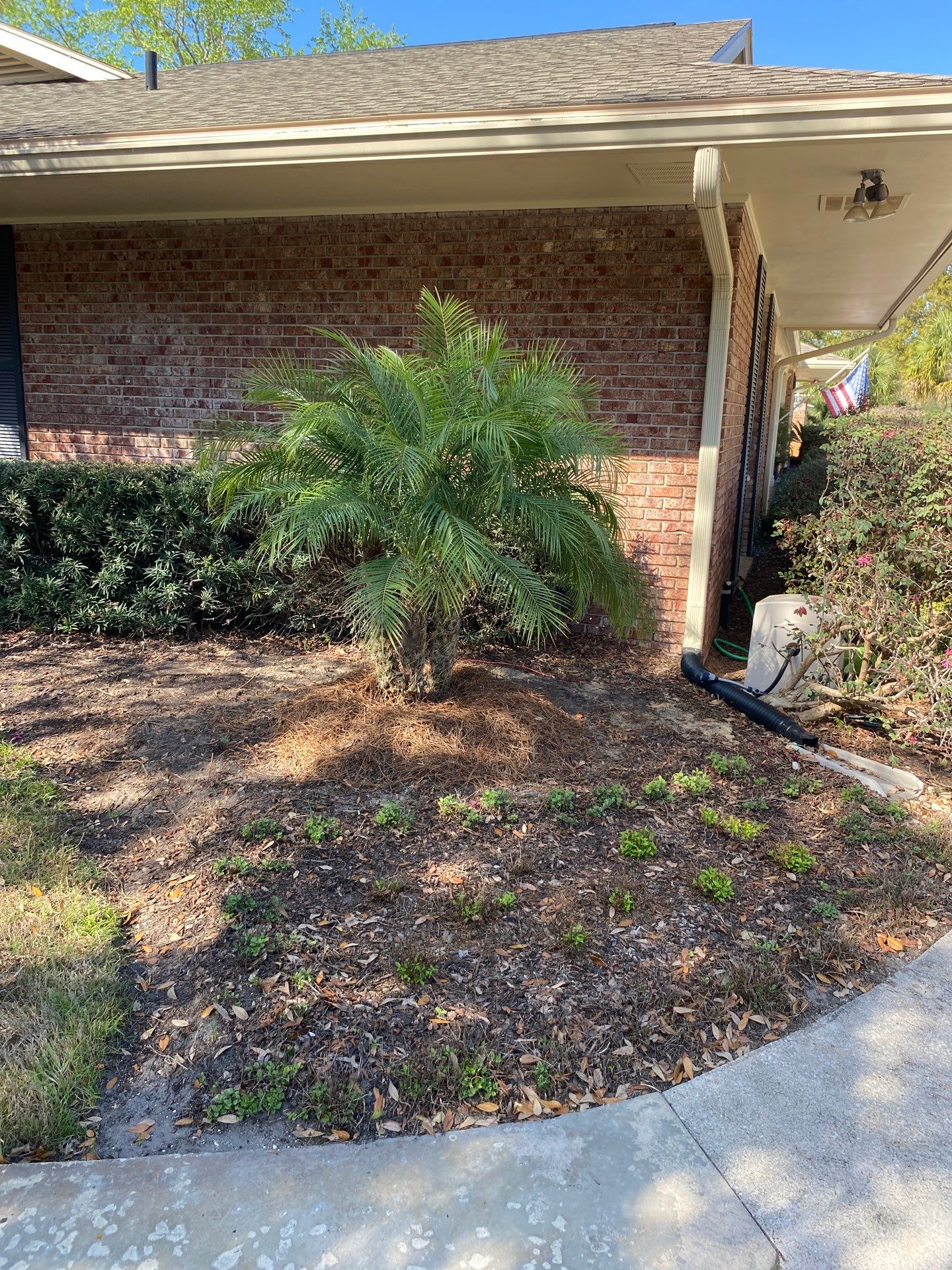 Deerwood Resident | Sod Install & Shrub Removal by ProGreen Services