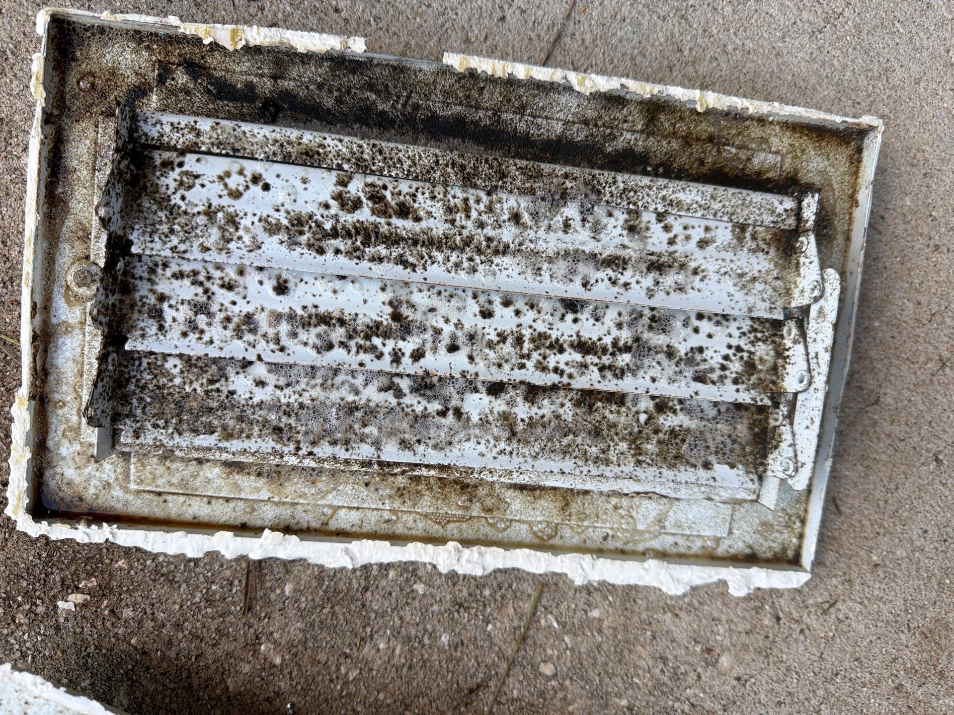 Air Duct Cleaning in Clermont by Hygienic Air, Inc