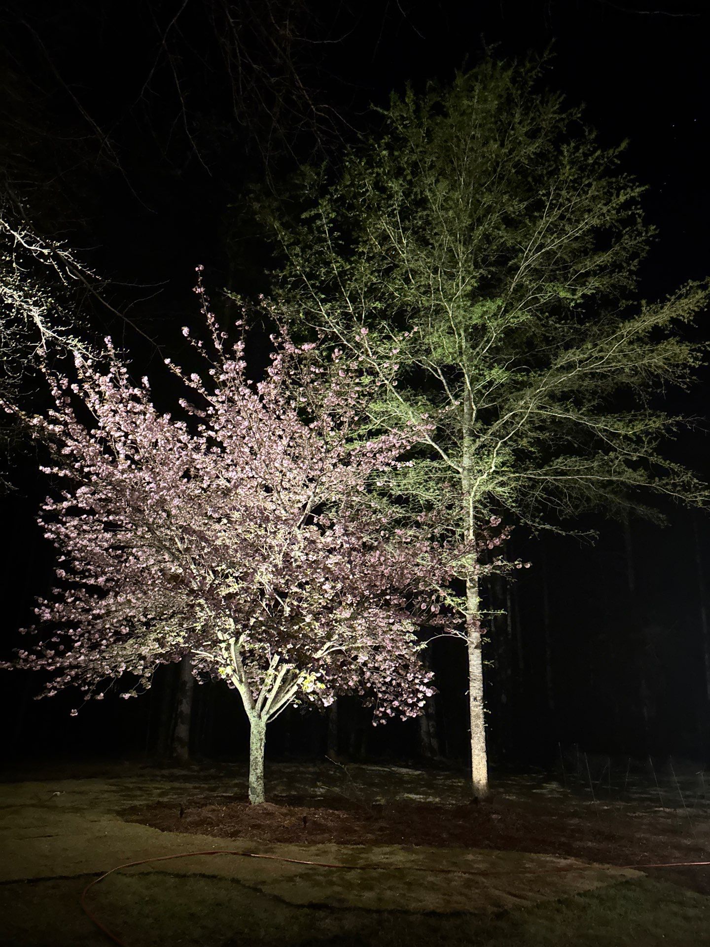 COLD Project by Georgia Outdoor Decor